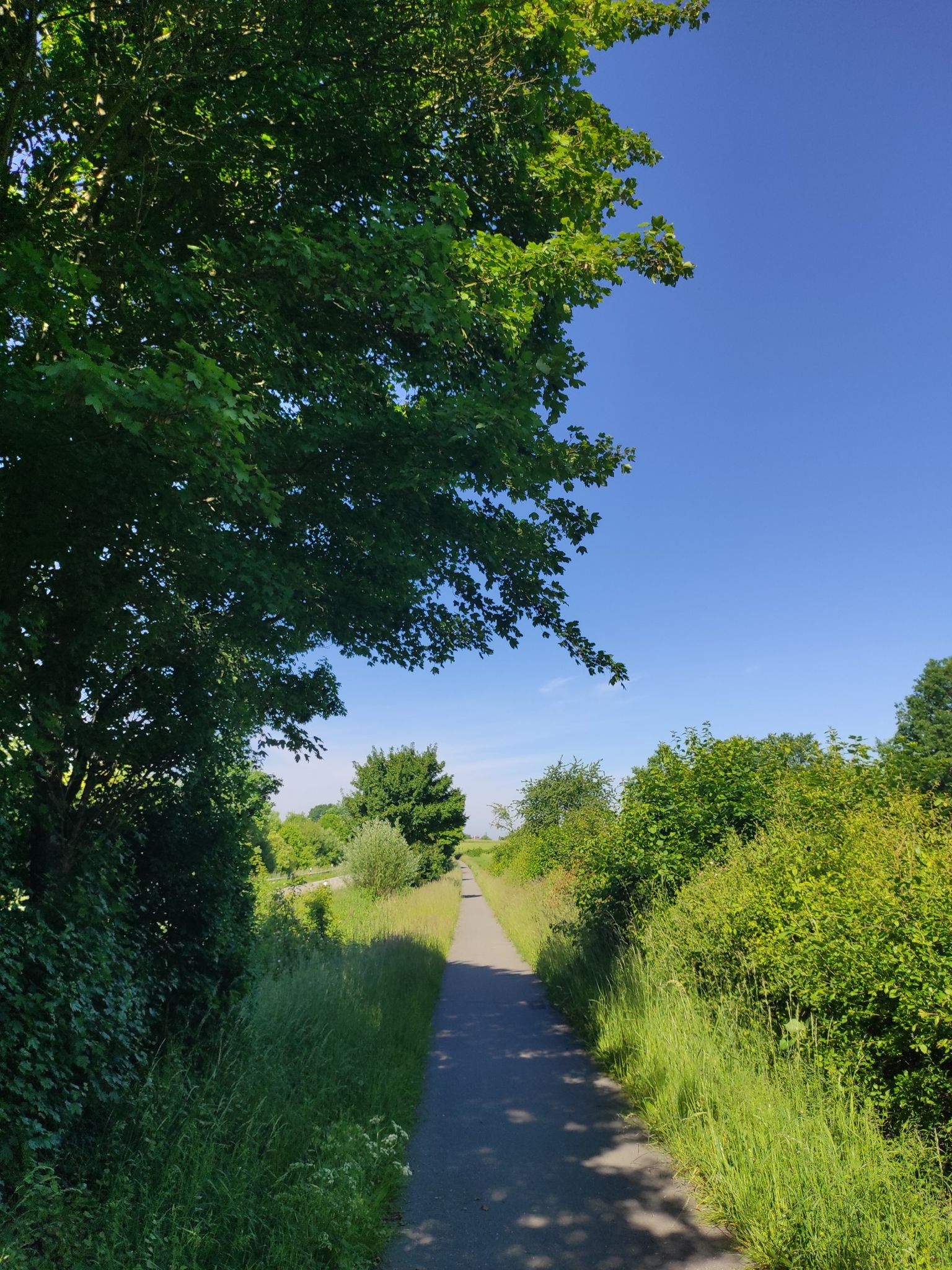 Fuß-/Radweg parallel zur B208