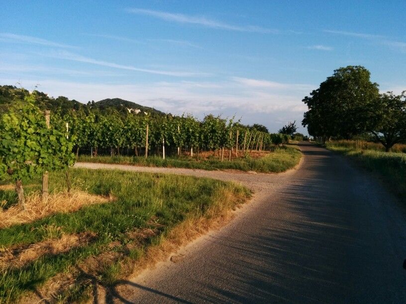 Vor Schriesheim...