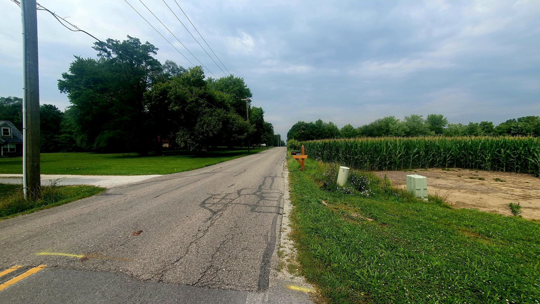 Rural road beside a tall cornfield and green trees under an overcast sky. - Greenfield loop via Pennsy Trail