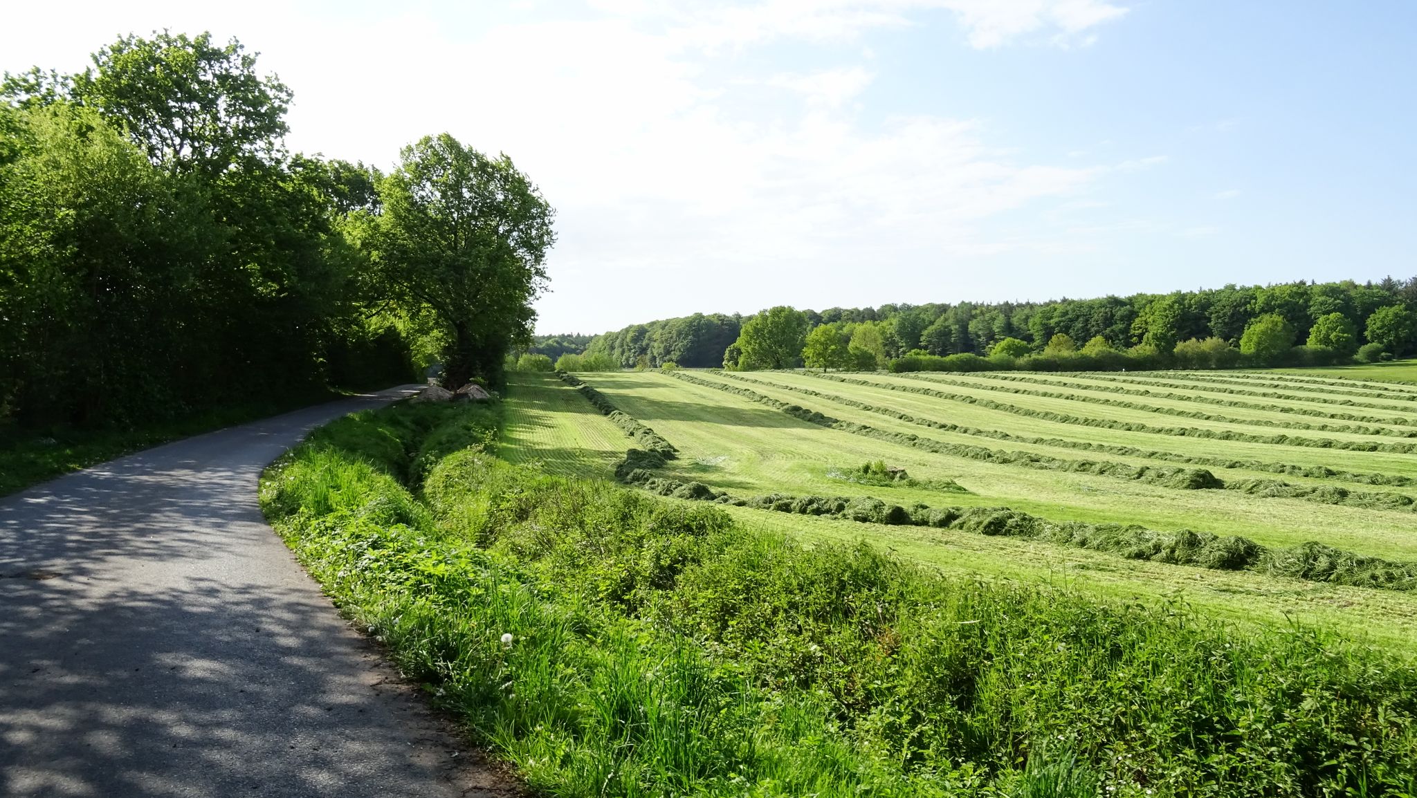 westlich von Wentorf (A.S.)