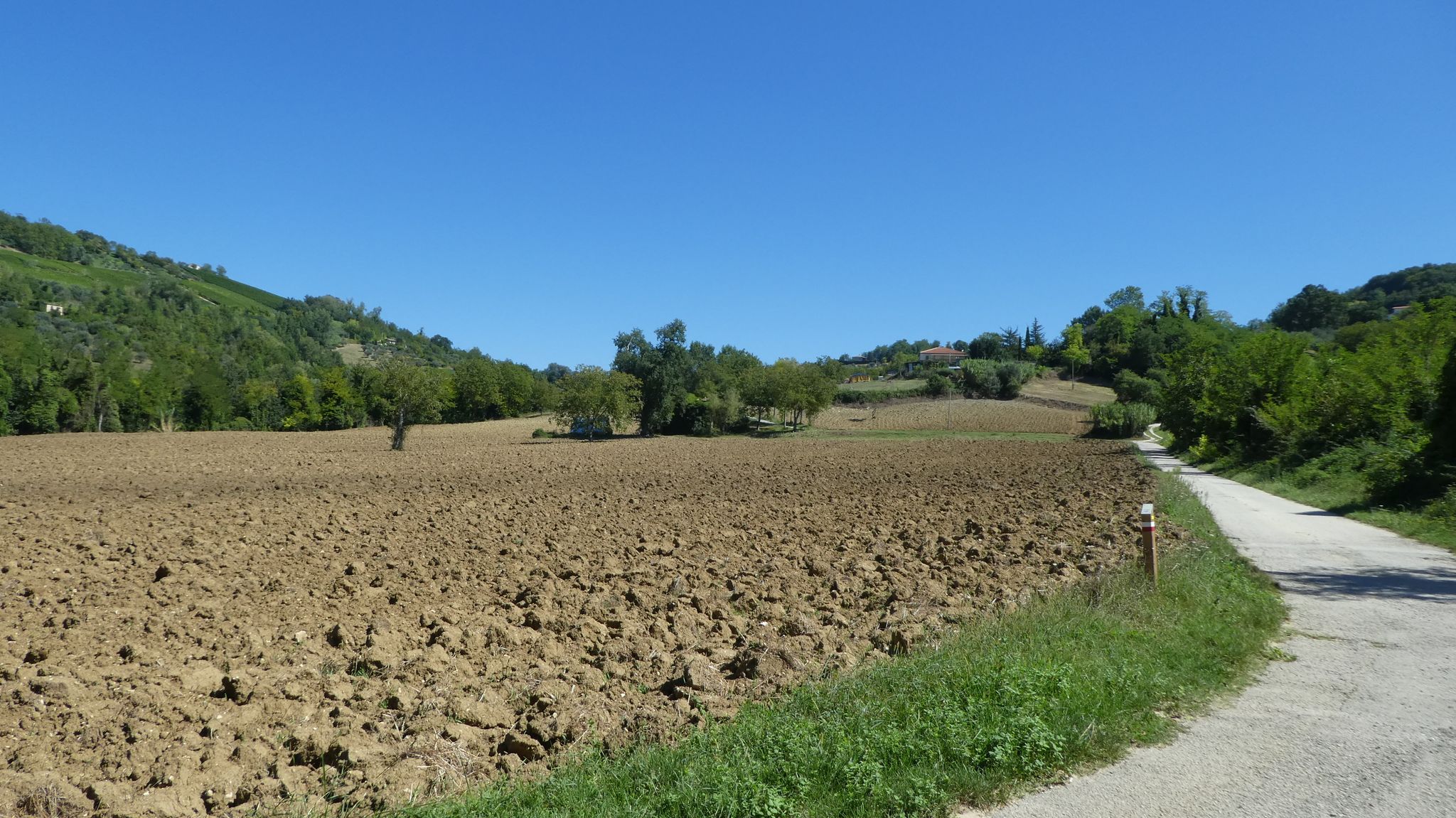 Il campo viene arato di nuovo, pronto per erpicare e seminare per il prossimo raccolto al Via Madrone.