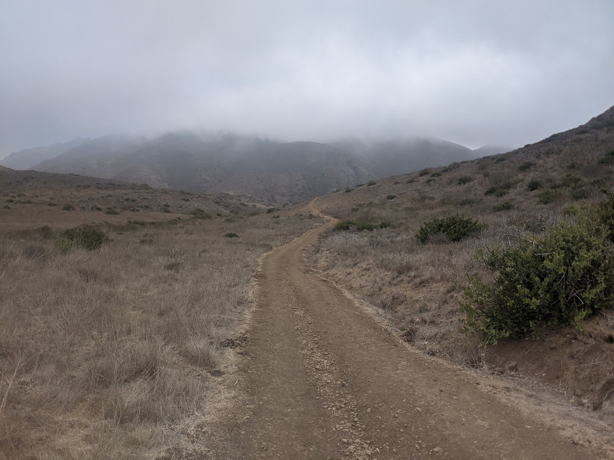 Dirt road through a dry valley with misty mountains under an overcast sky. - Ray Miller and Overlook Trail Loop