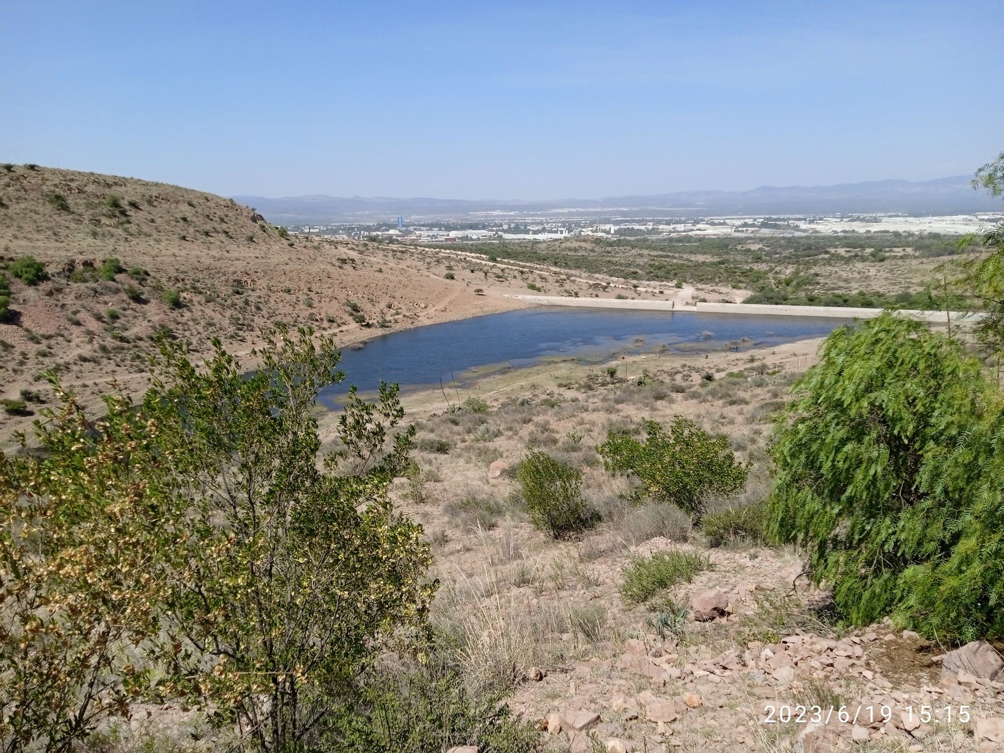 presa de abajo cañada