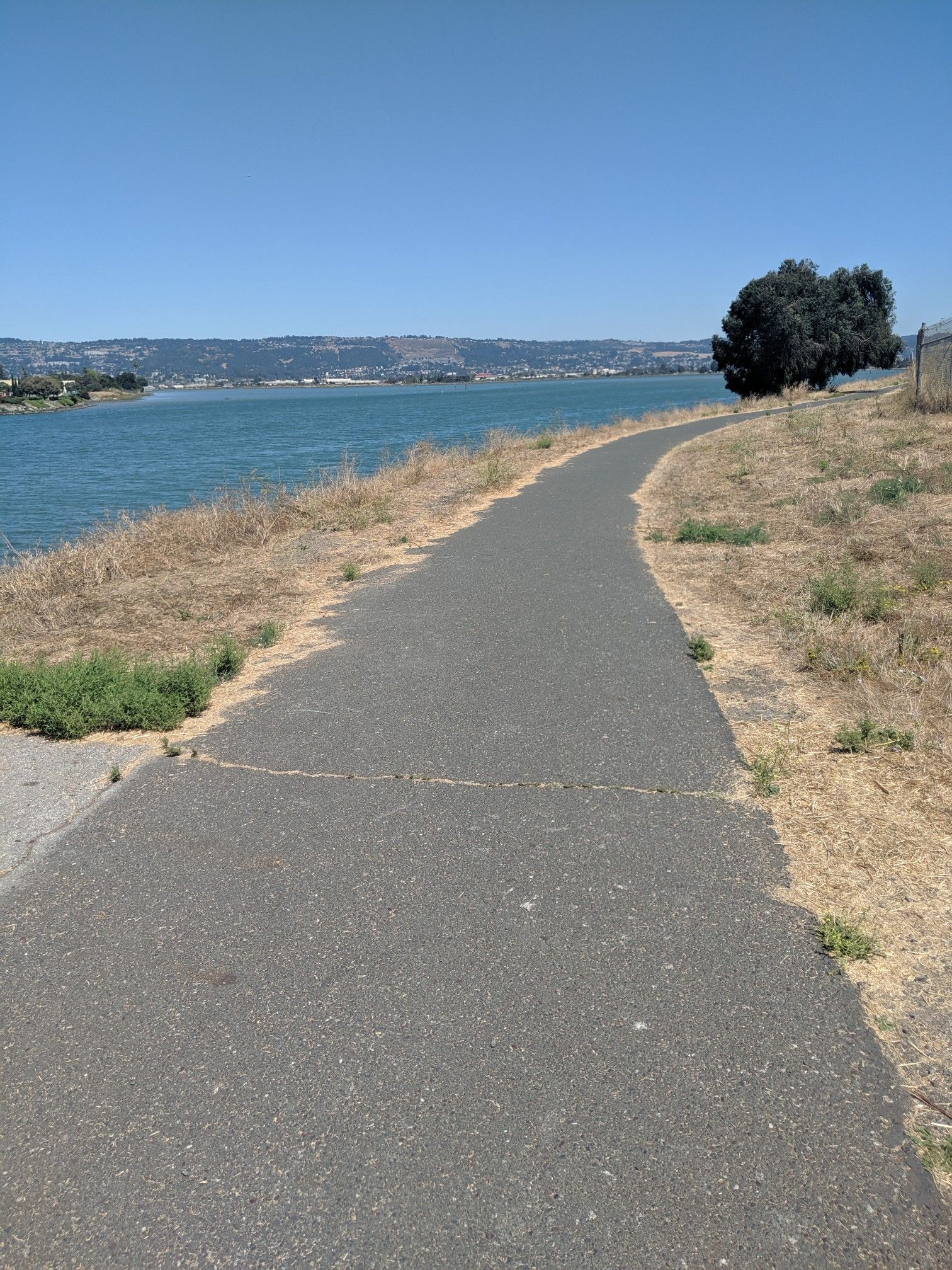 Paved path alongside a calm bay with dry grass on a sunny day. - San Francisco Bay Trail: Bay Farm Island Loop