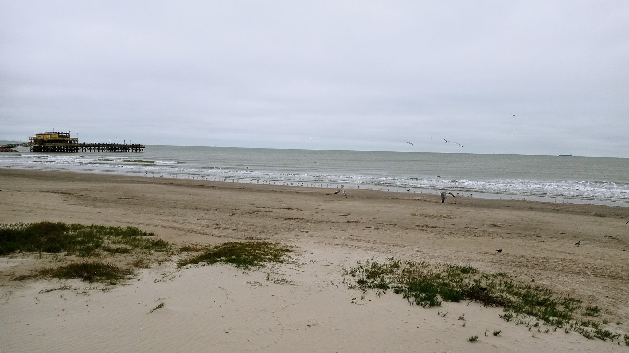 Overcast beach scene with a distant pier, ocean waves, and a person. - Fast & Flat Galveston Beach from Freeport