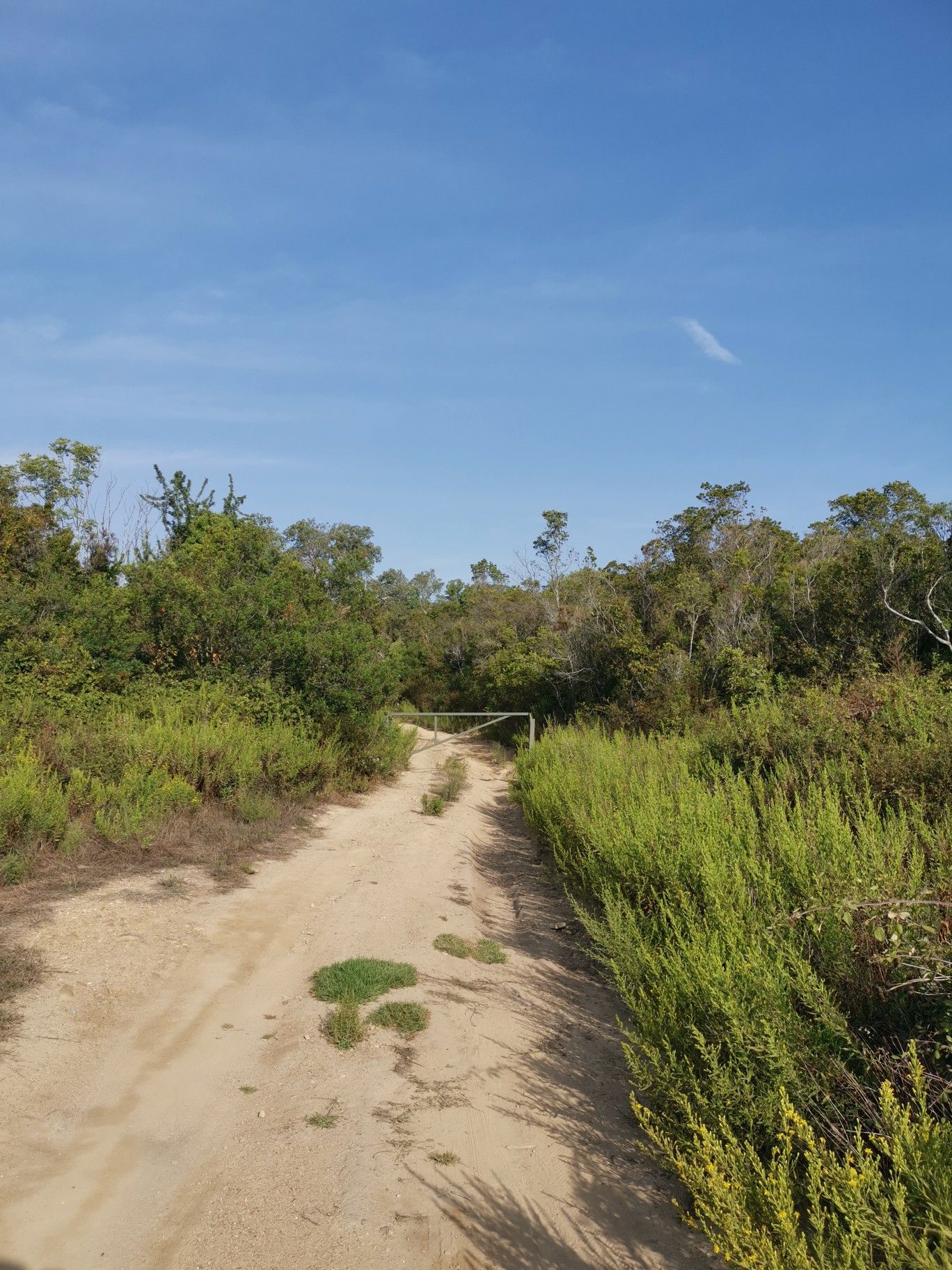 Singletrail