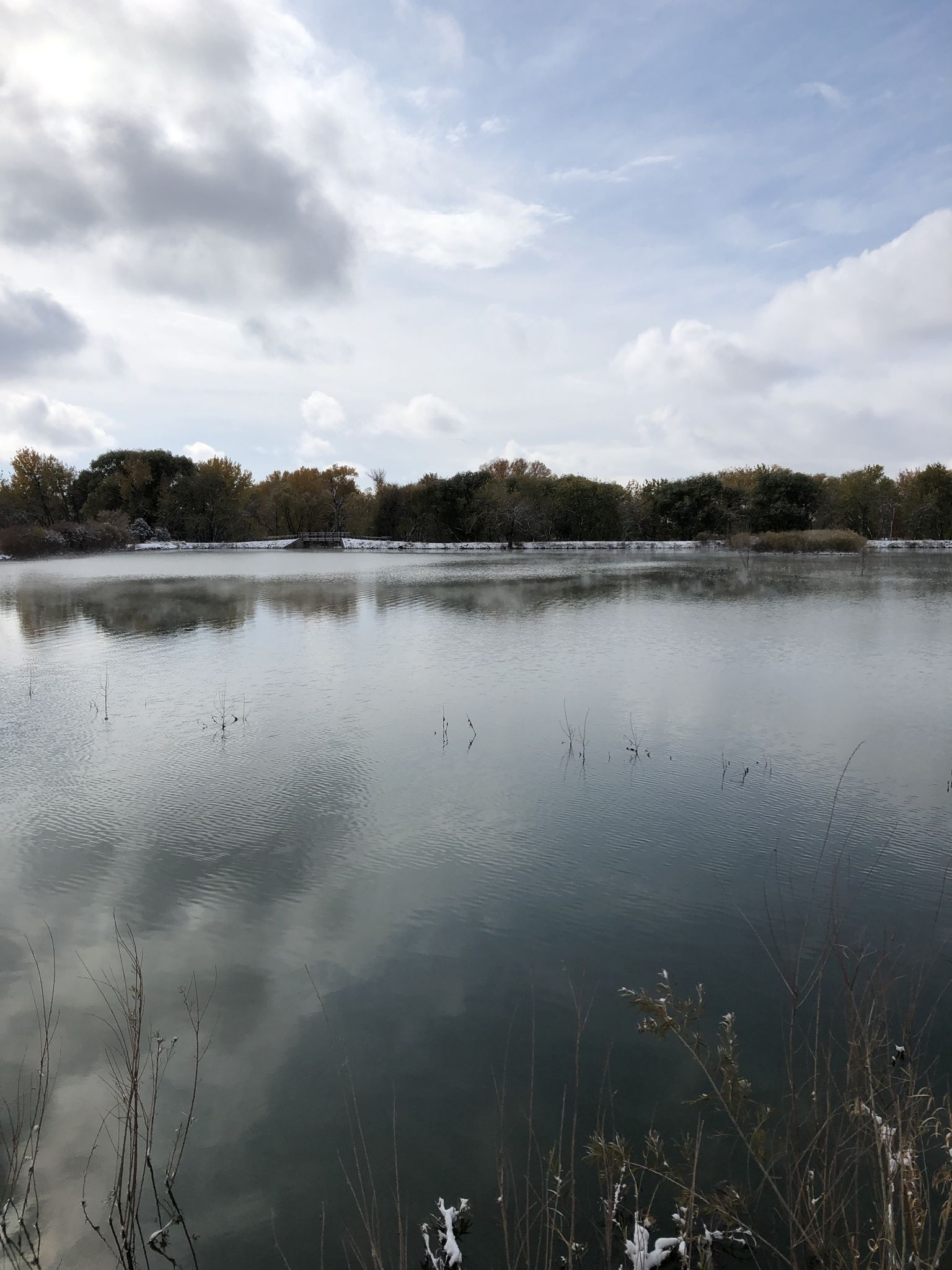 Misty lake with distant trees under an overcast sky, some snow. - Golden Ponds Trail