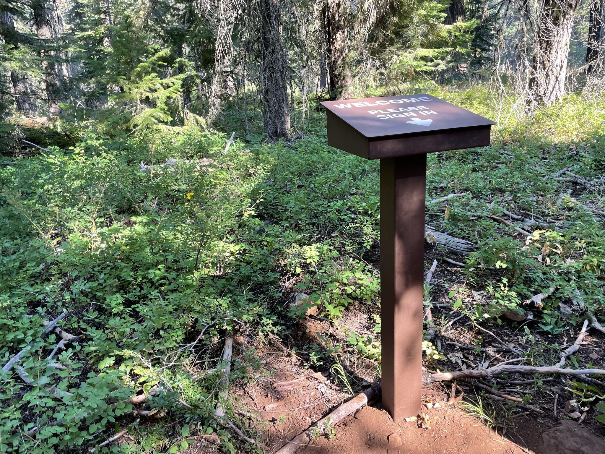 Brown sign-in kiosk in a sunlit, dense green forest. - Little Hyatt Lake via PCT