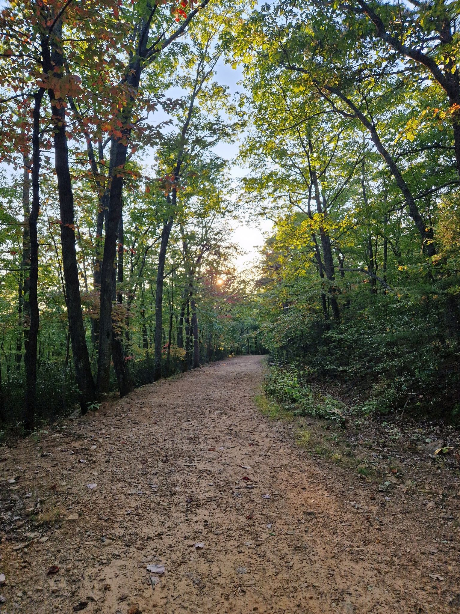 Dirt path through a forest with sunlight shining through trees at sunset. - Catawba Mountain via Appalachian Trail