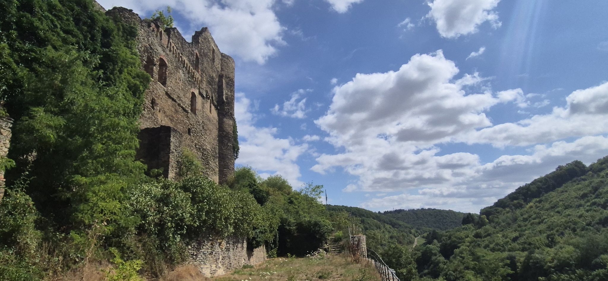 Burgruine Dalburg