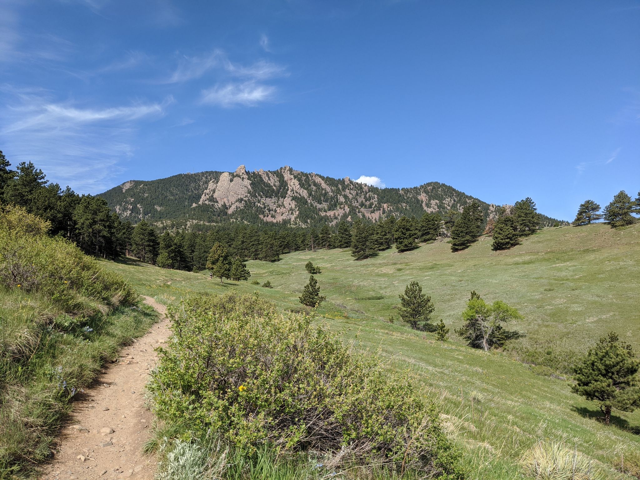 Dirt path through green hills leading towards forested mountains under blue sky. - Flatirons view – Spring Brook loop loop from Eldorado Springs