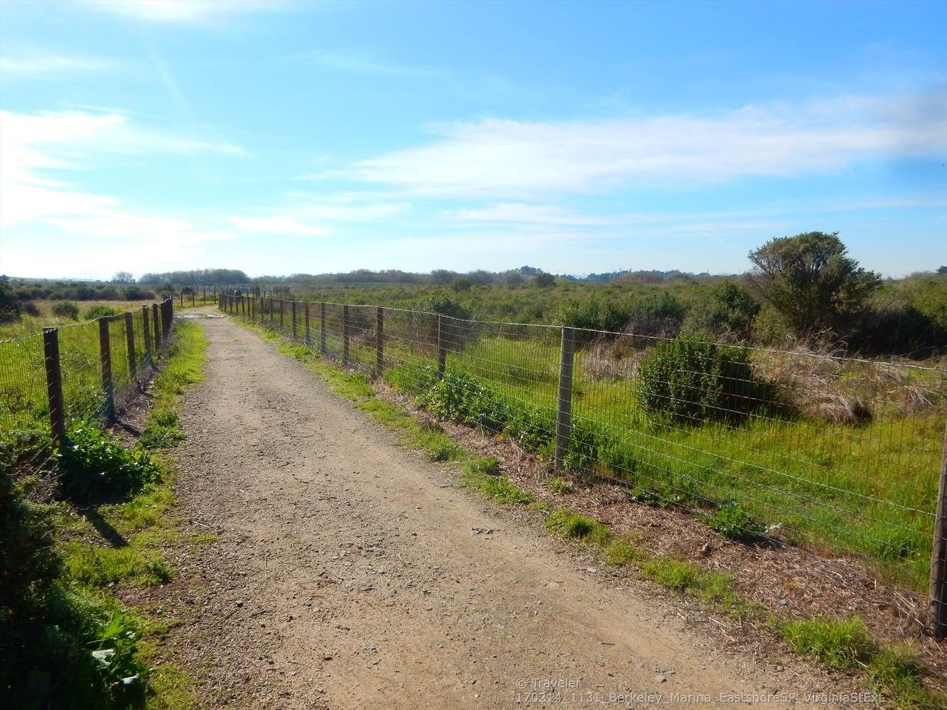 A dirt path bordered by fences through a sunny, green, open field. - Berkeley Marina Loop Trail