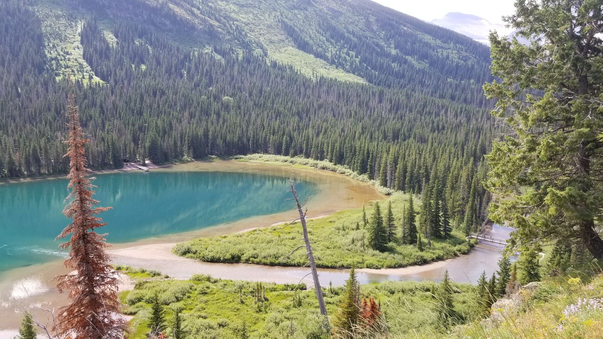 An aerial view of a turquoise lake, dense forest, and a winding river. - Grinnell Glacier Trail