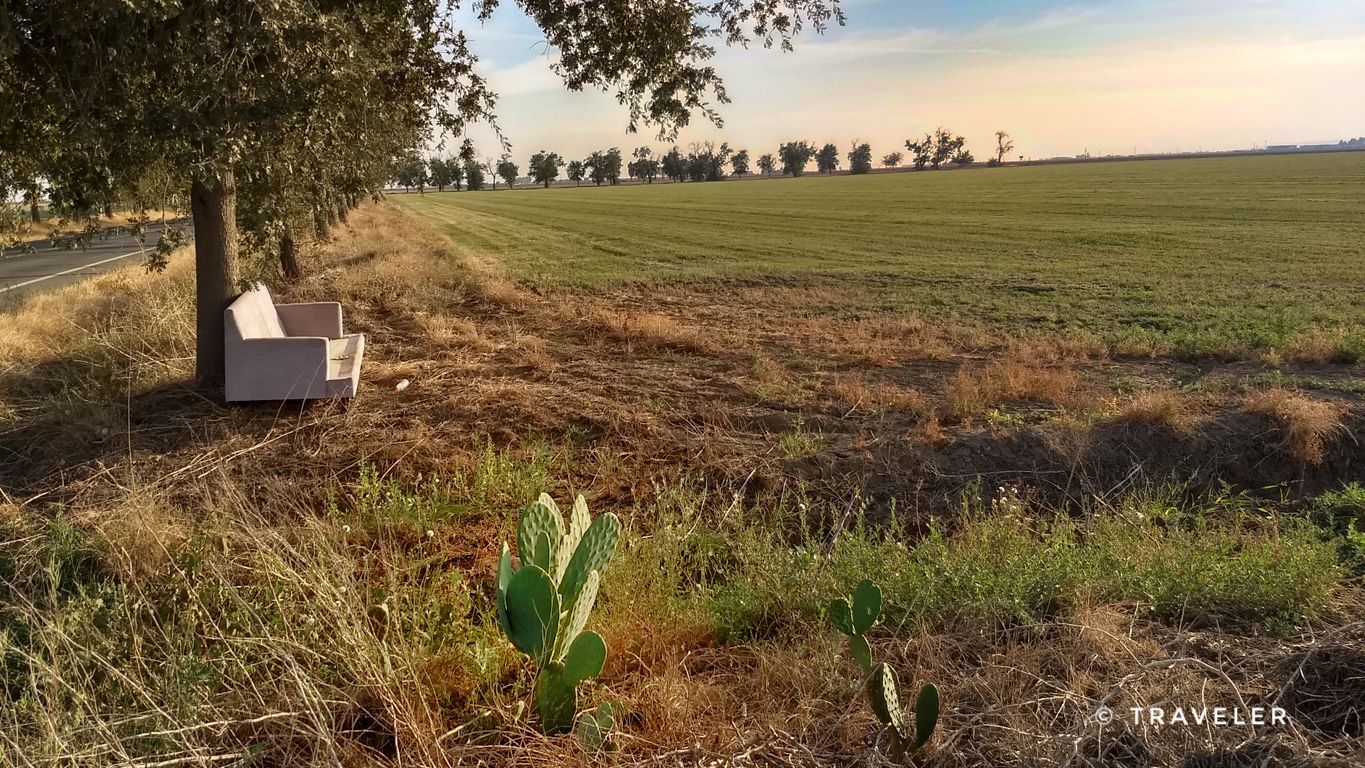 A white couch sits under a tree beside a field with a small cactus. - Lake Spafford – Tremont Farm loop from Davis