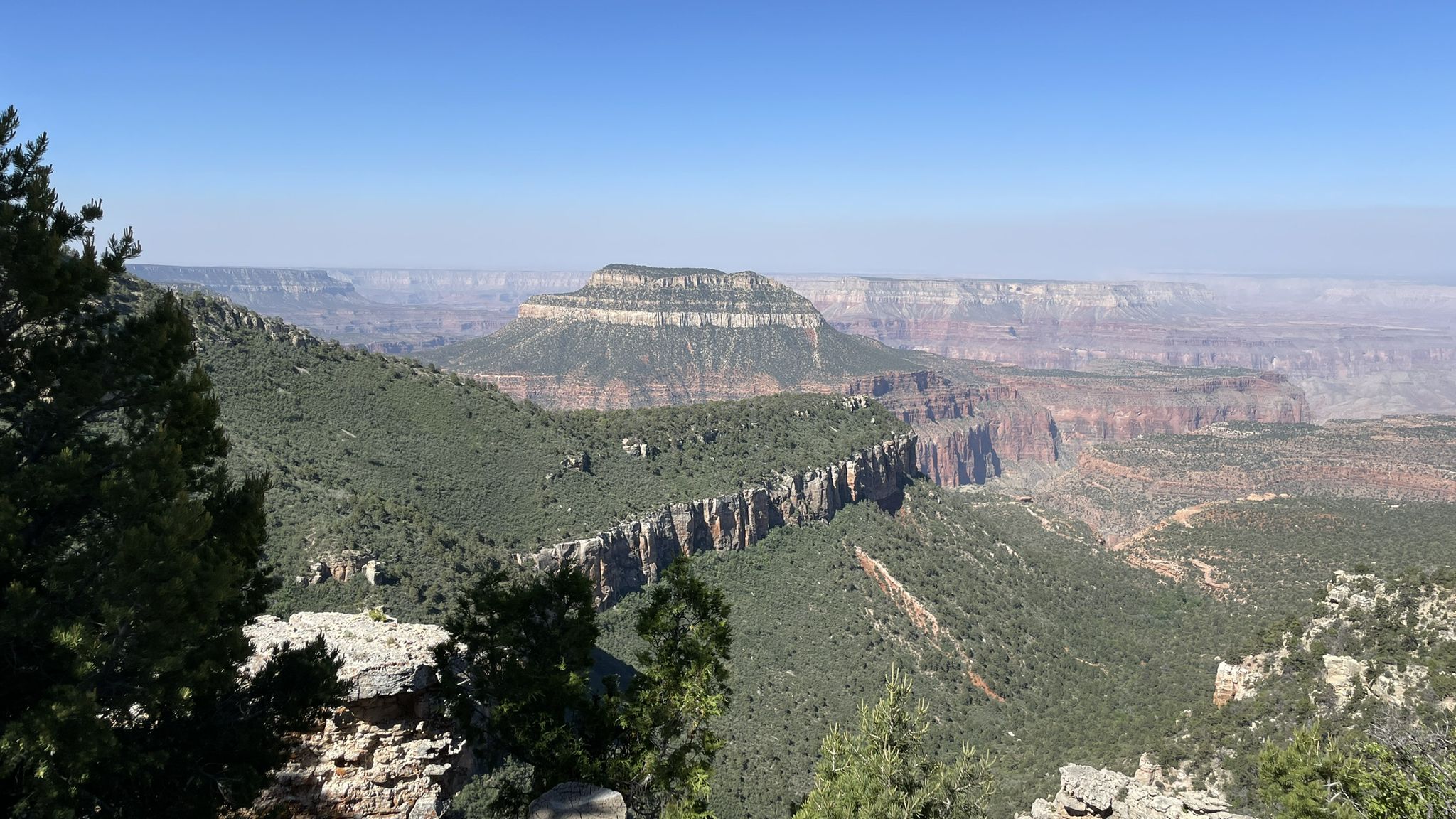 Expansive canyon vista under clear blue sky, with a prominent mesa. - Rainbow Rim Trail Loop