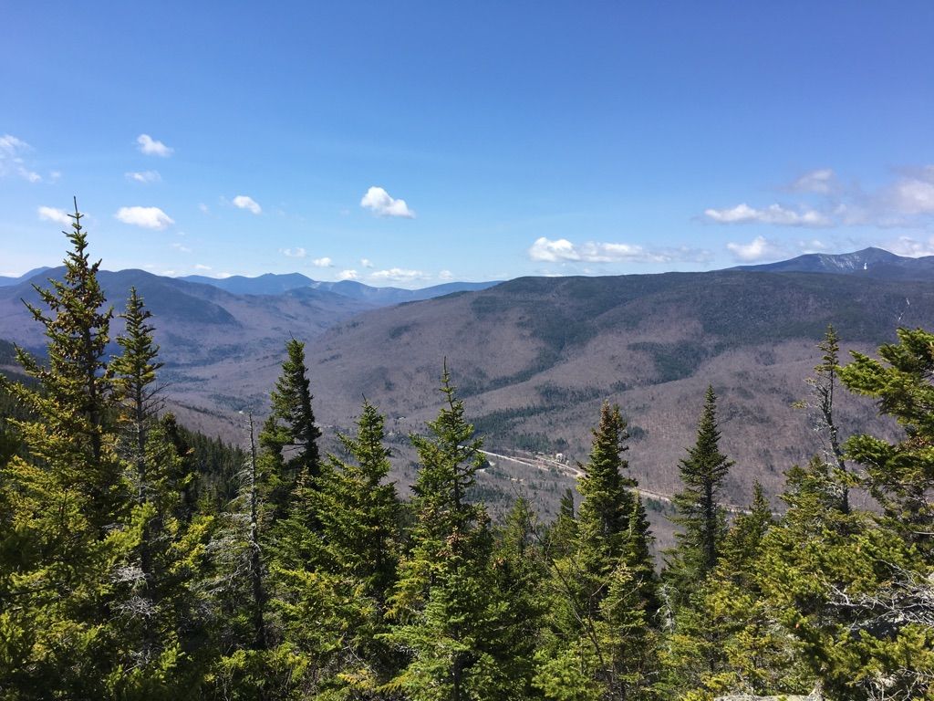 Panoramic view of vast forested mountains under a bright blue sky with clouds. - Mount Crawford via Davis Path