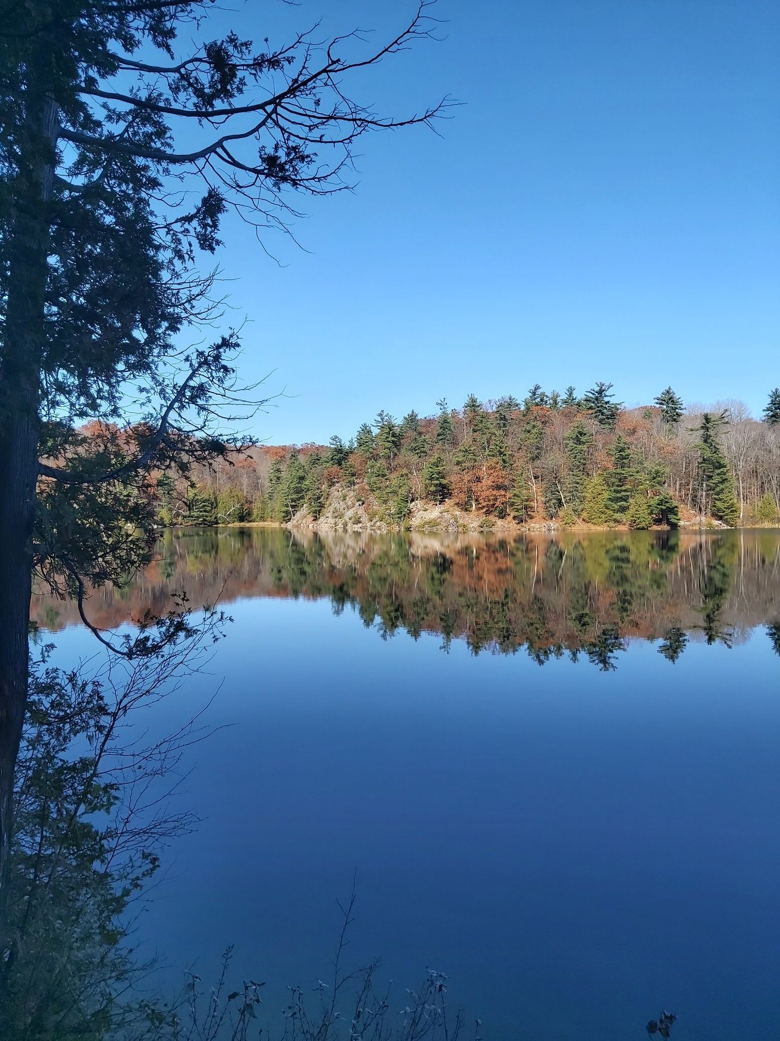 lac pink
