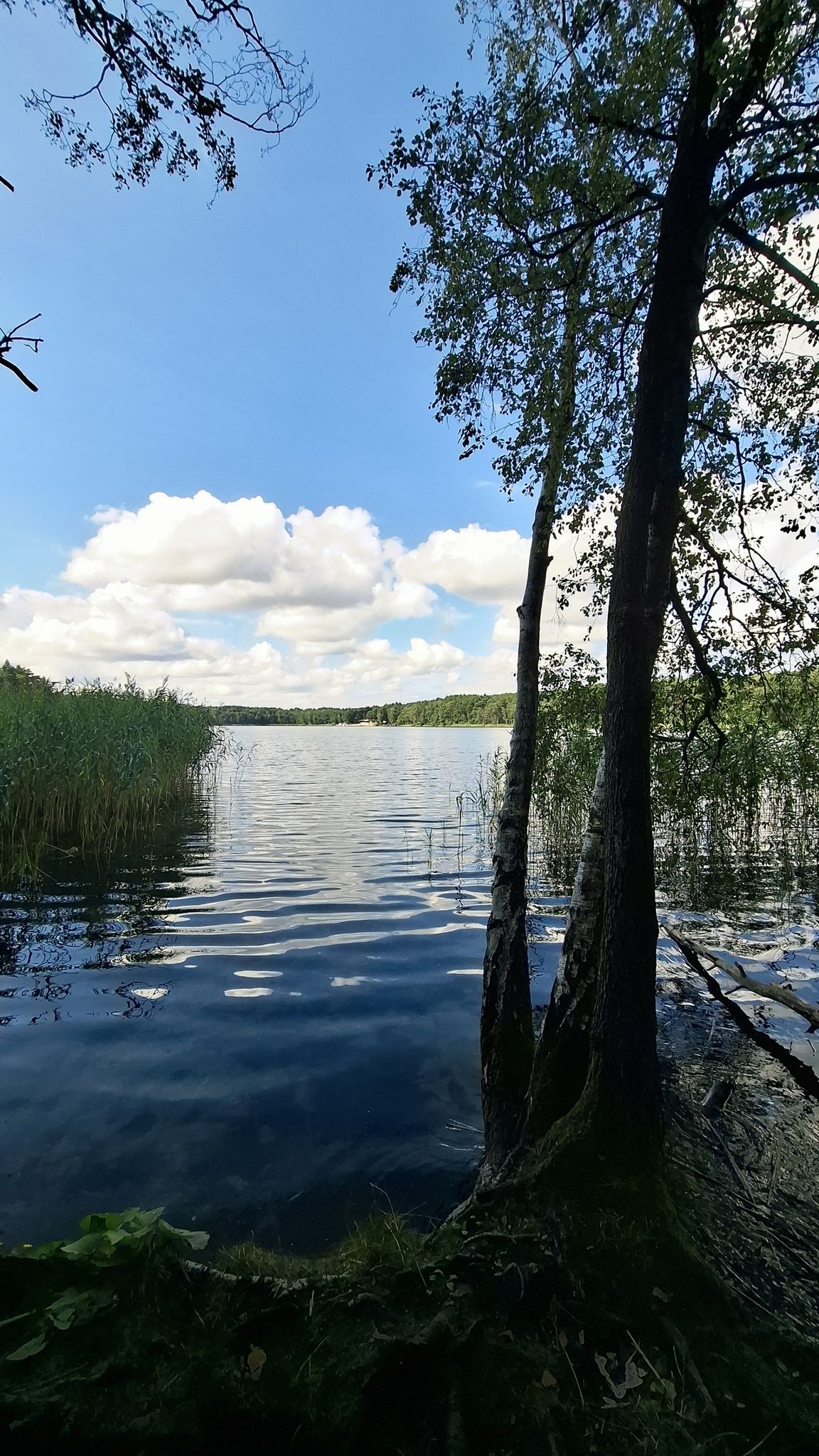 jeź.Dąbie (lubuskie)