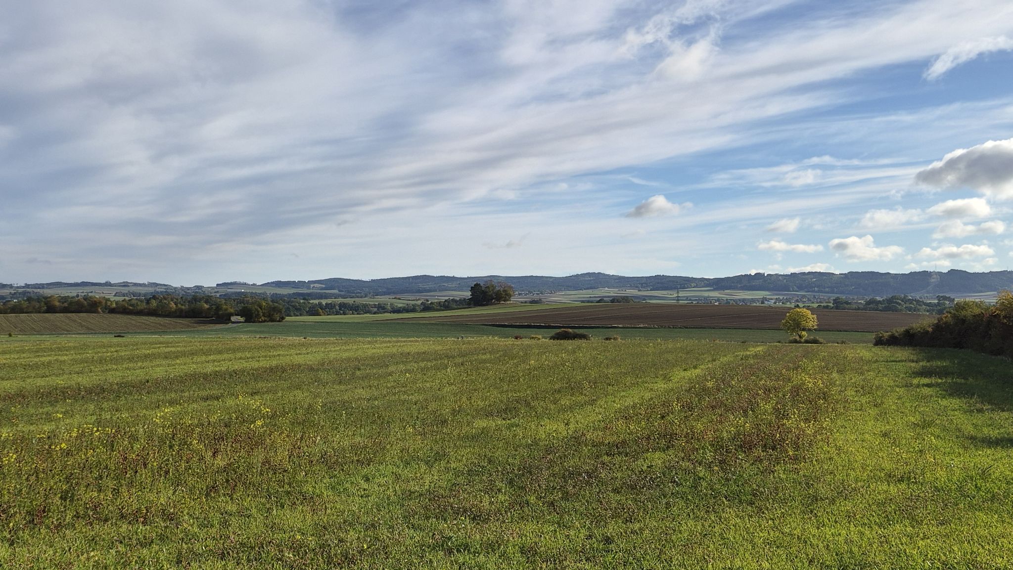 Predigtstuhl
