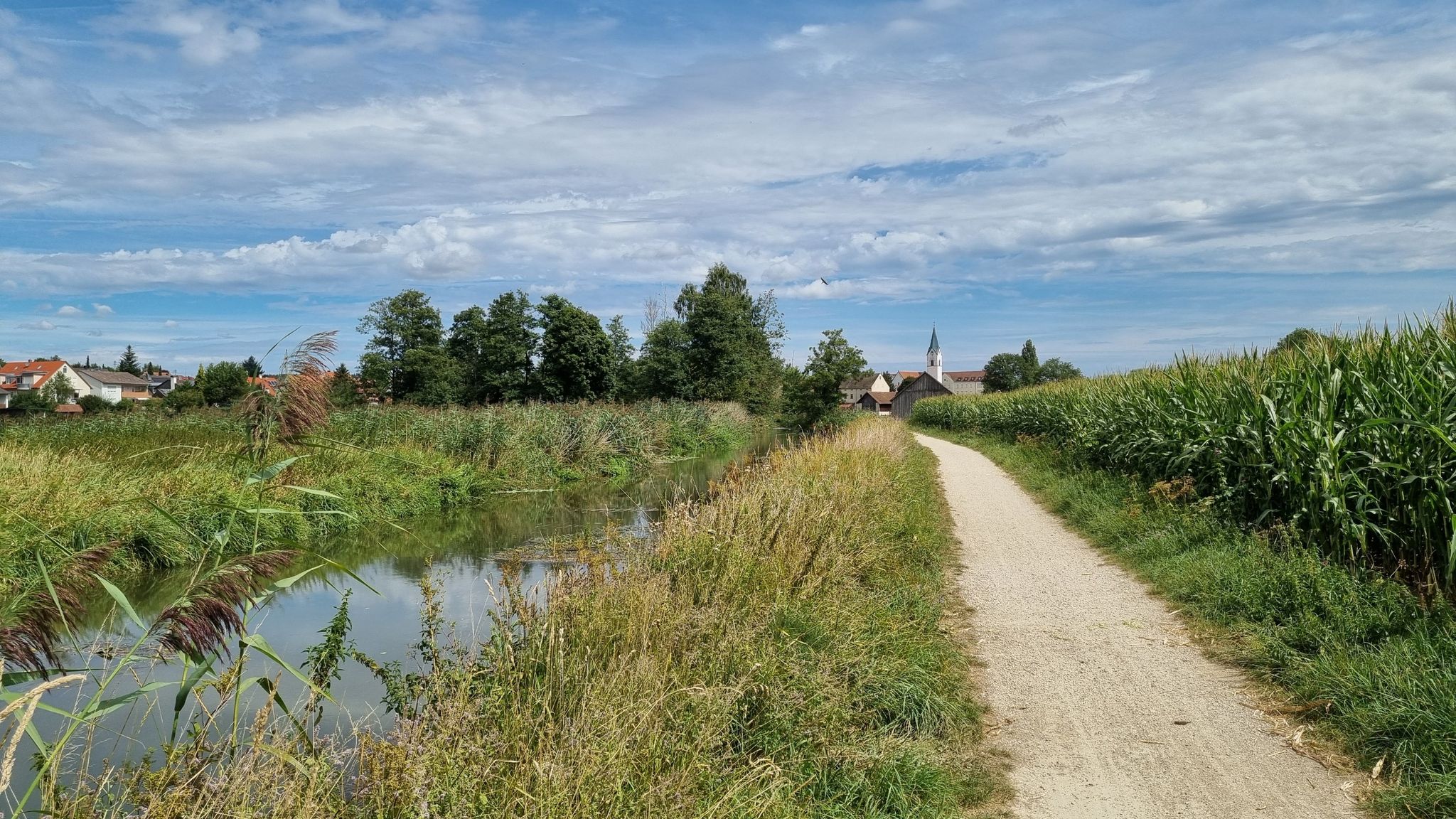 ...und kurz vor Weichs...