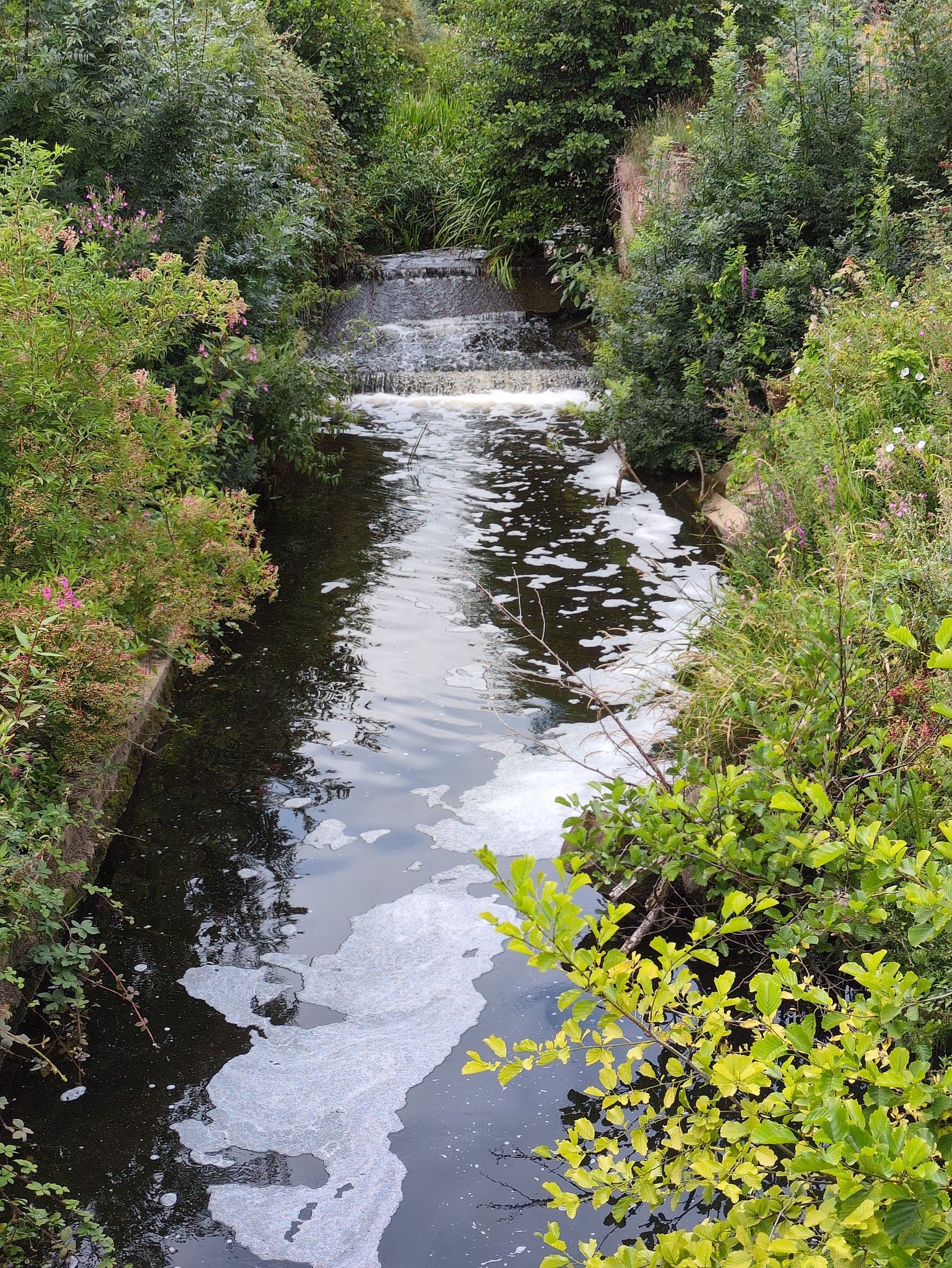 River Gipping - Badley Mill Lock