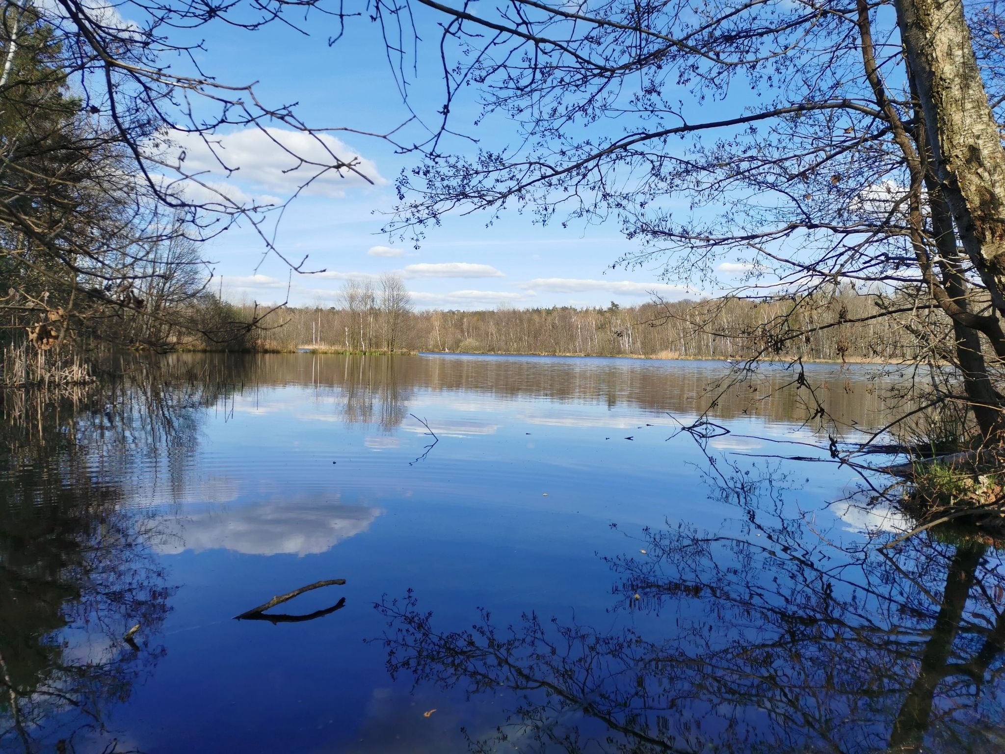 Am Schmielteich