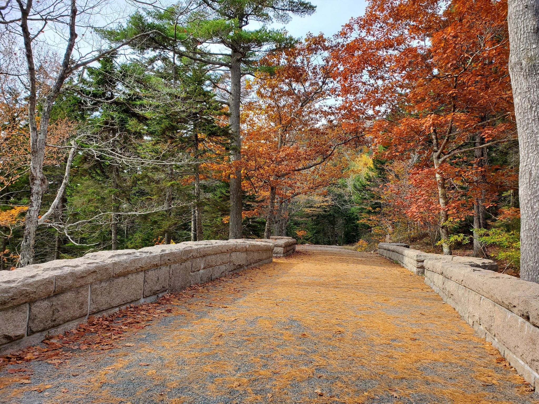 Stone bridge path covered in autumn leaves, surrounded by colorful trees. - Hadlock Loop
