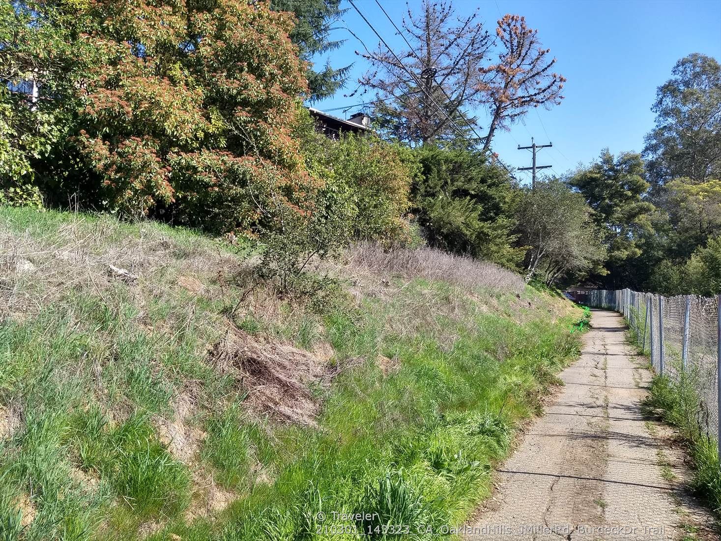 Grassy hillside next to a dirt path and fence, with power lines above. - Piedmont Summit to Oakland Zoo