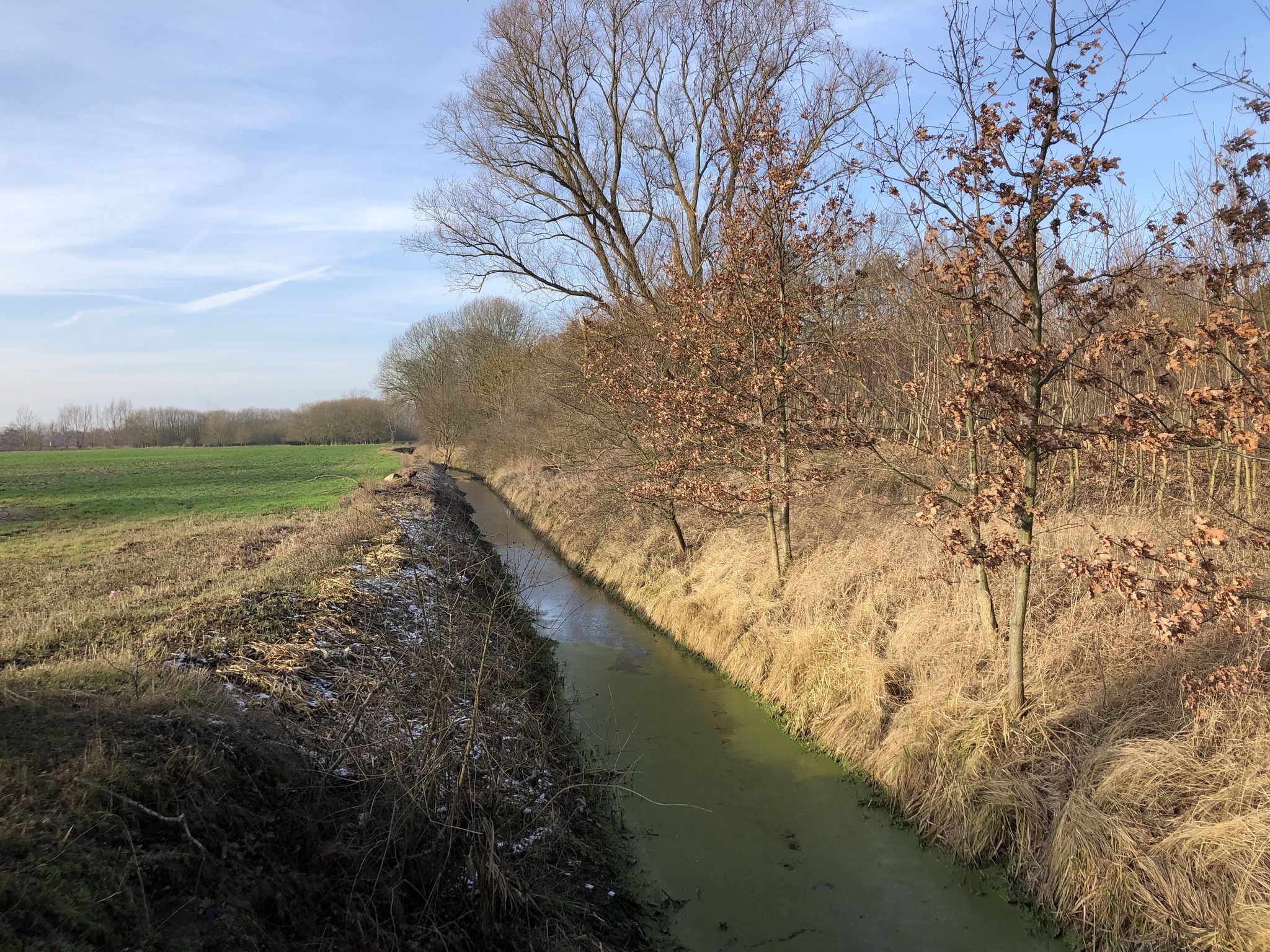 Alter Kuhgraben