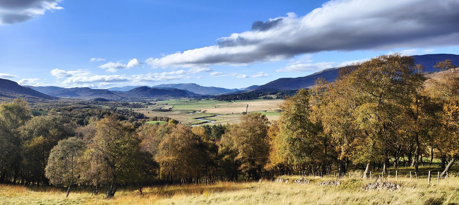View back west from the Glentruim road