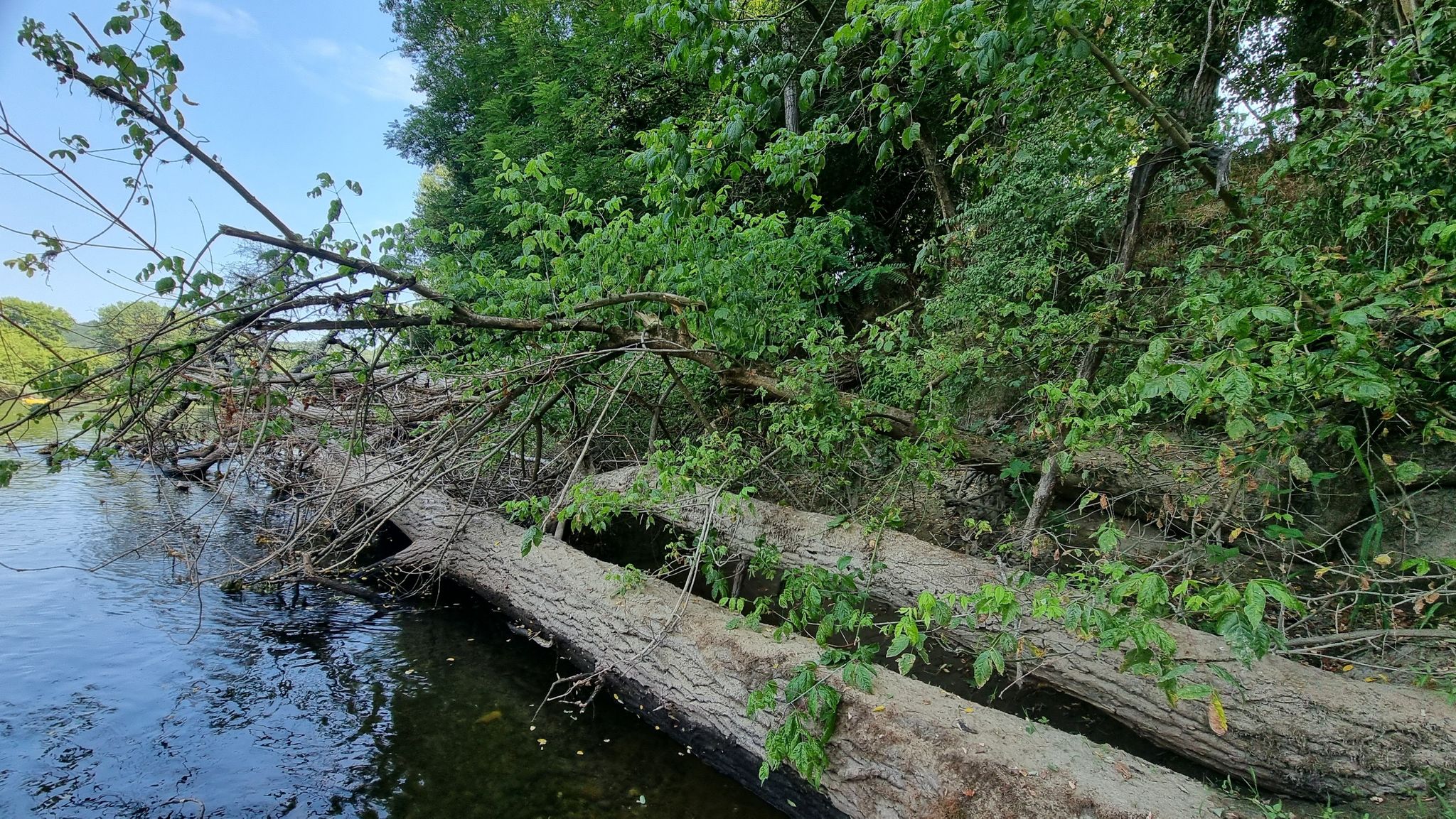 Klimmen en klauteren door kreupelhout.