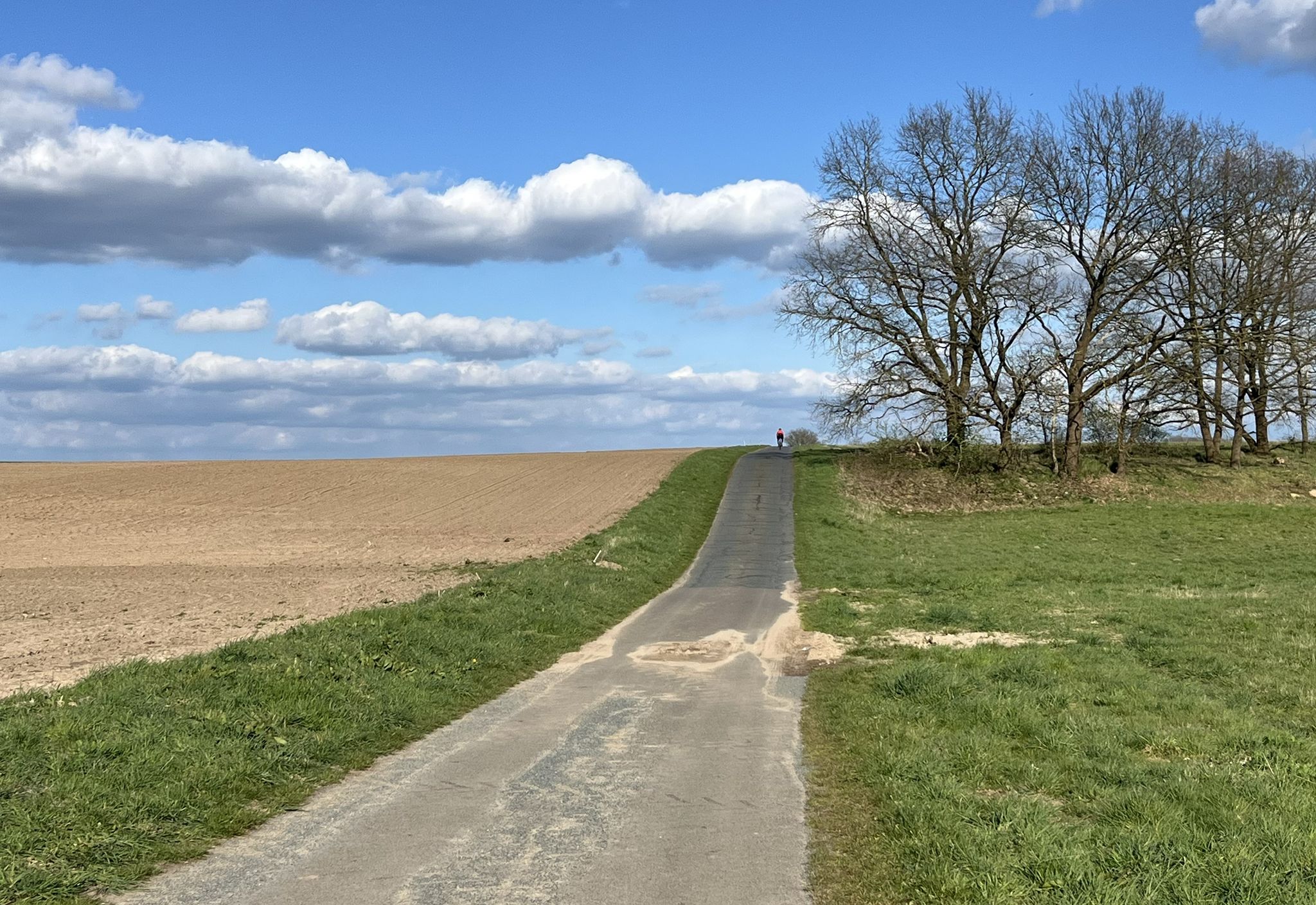 Bei Hankensbüttel gibts viele kleine Hügelchen = hyggeligge Landschaft?