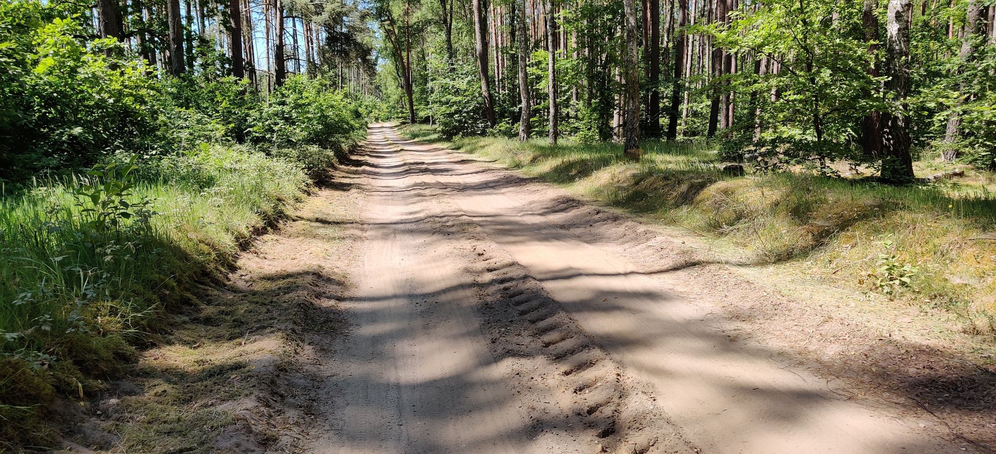 Sandy Road
