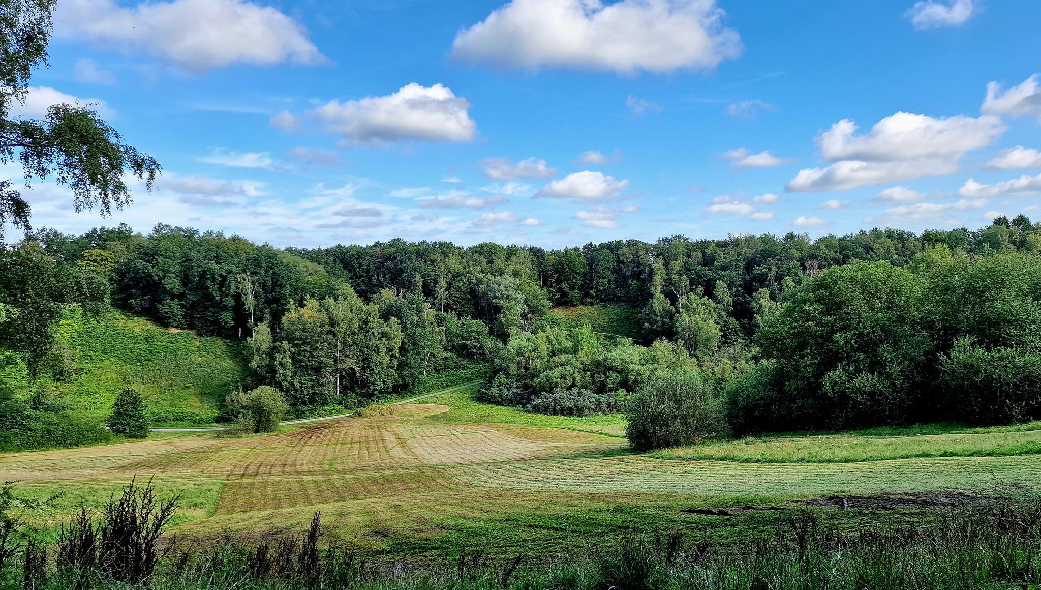 Blick den Rodelberg runter