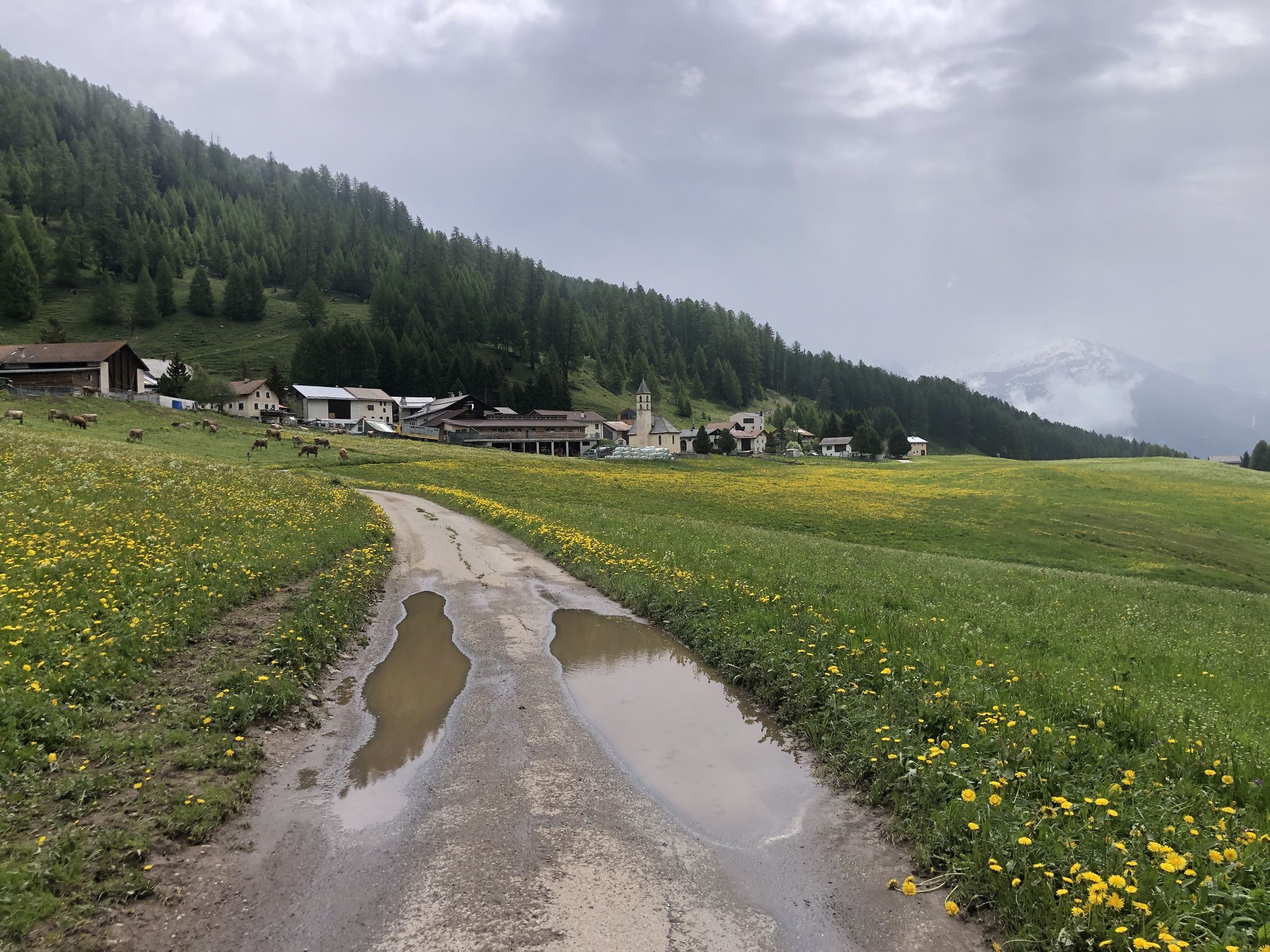 kurz vor Lü