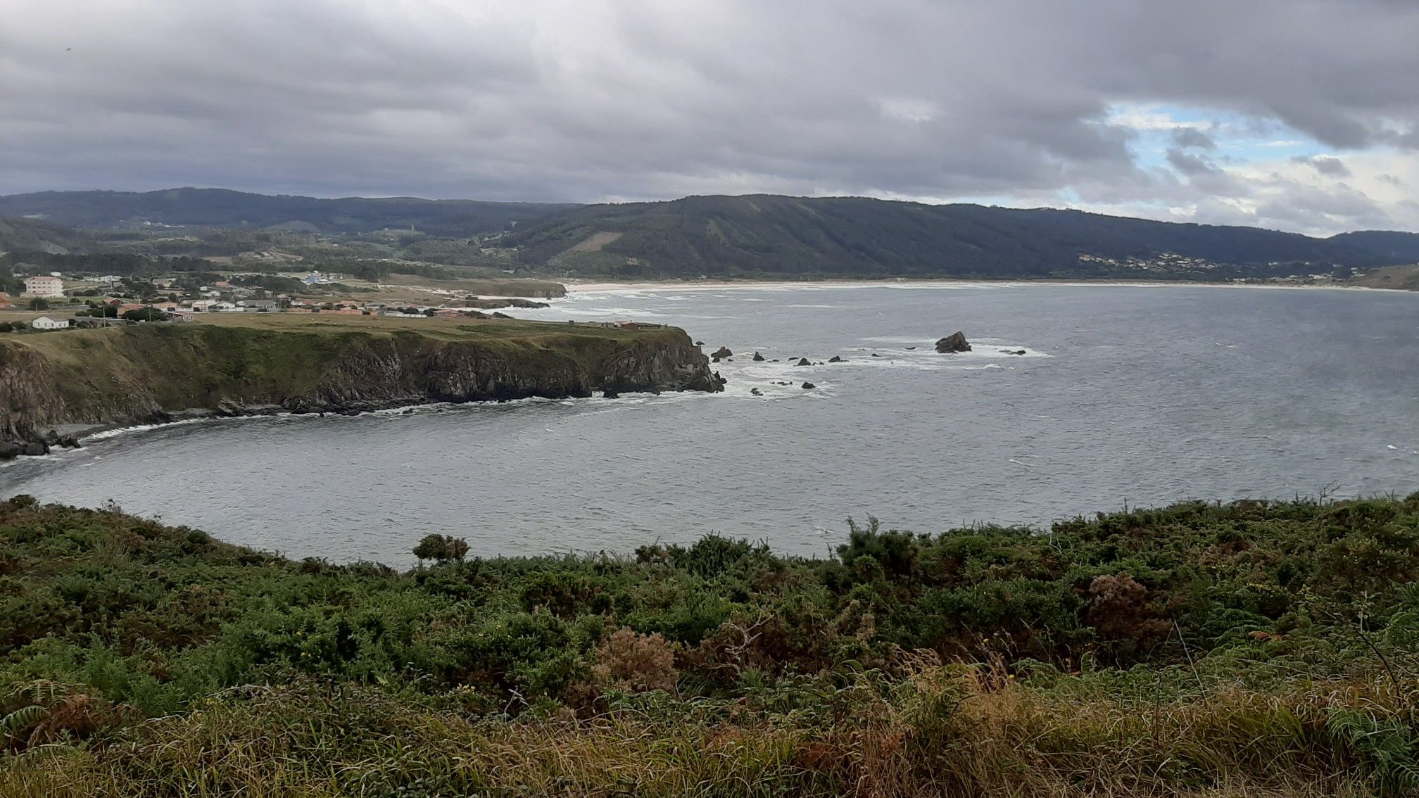 Vista