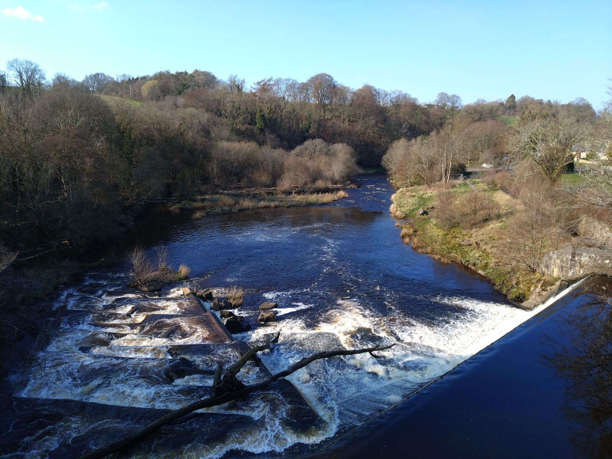 Avon Water at Millheugh