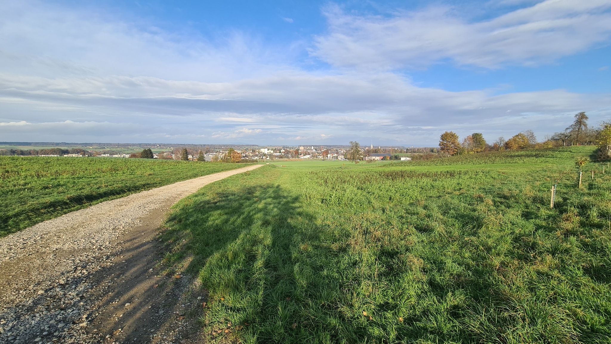 Amriswil