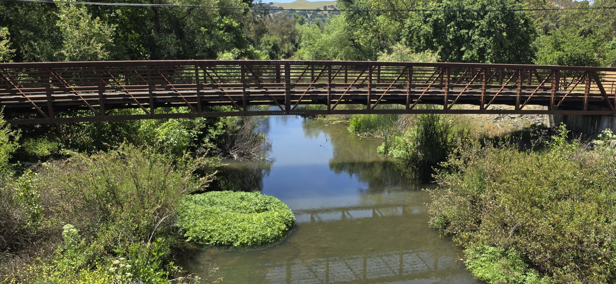 Metal truss bridge over a calm river surrounded by lush green foliage. - Sycamore Grove Park – Sycamore Grove Park loop from Independence Park
