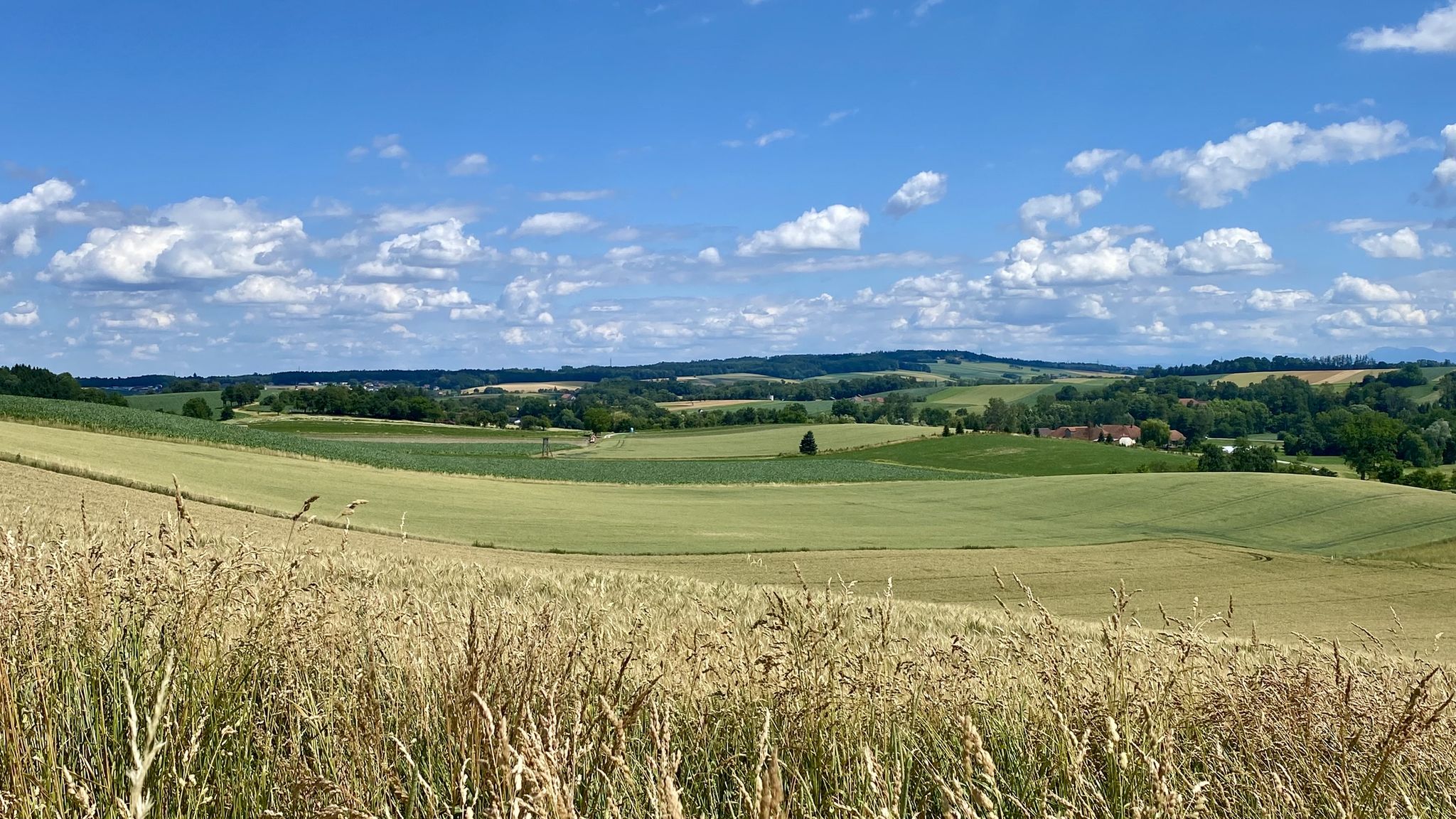 Ost: Hofkirchen - Schwalbleck