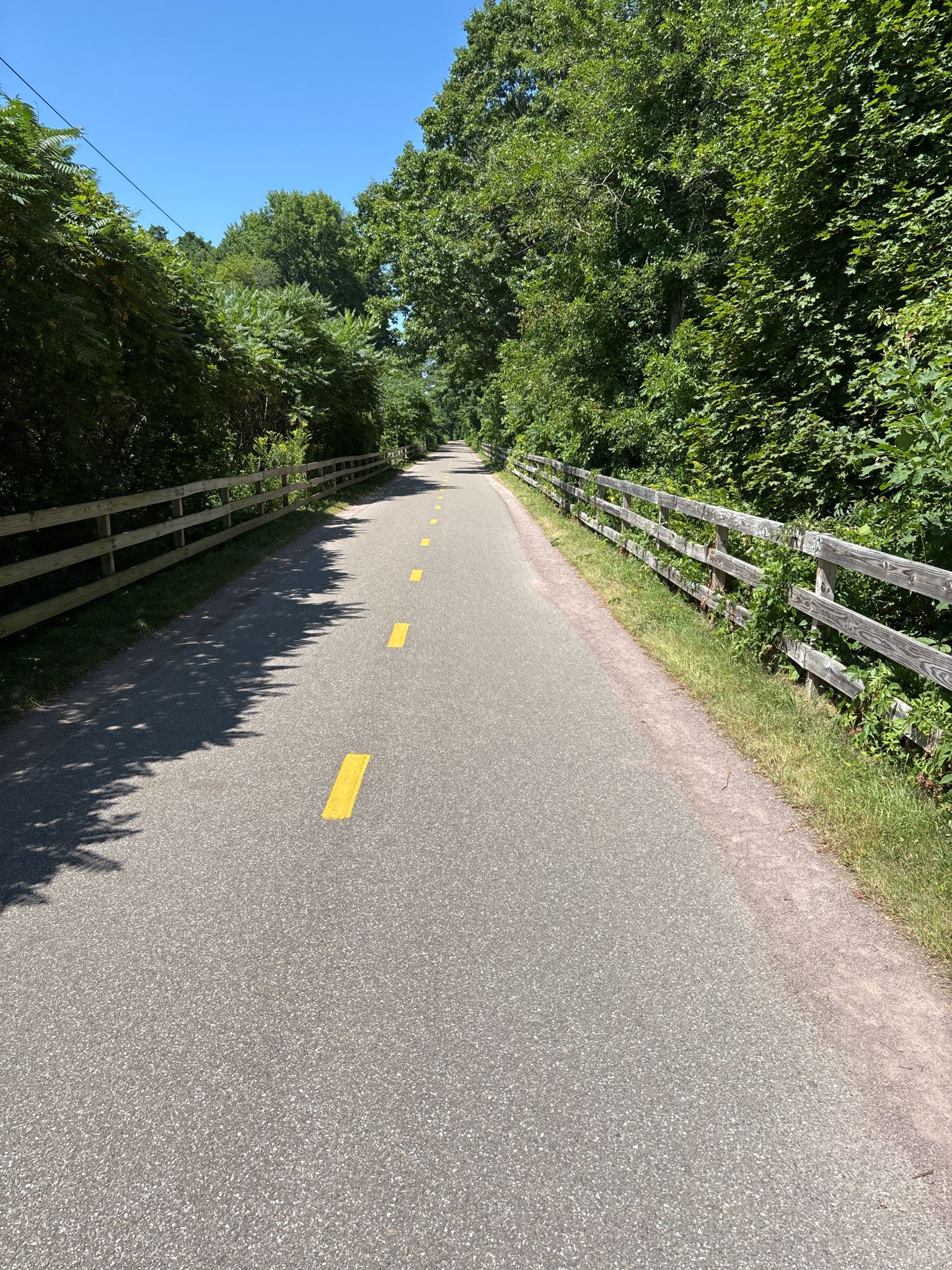 Paved path with yellow lines, bordered by wooden fences and green trees. - Burlington Greenway loop from Mount Calvary Red Maple Wetland