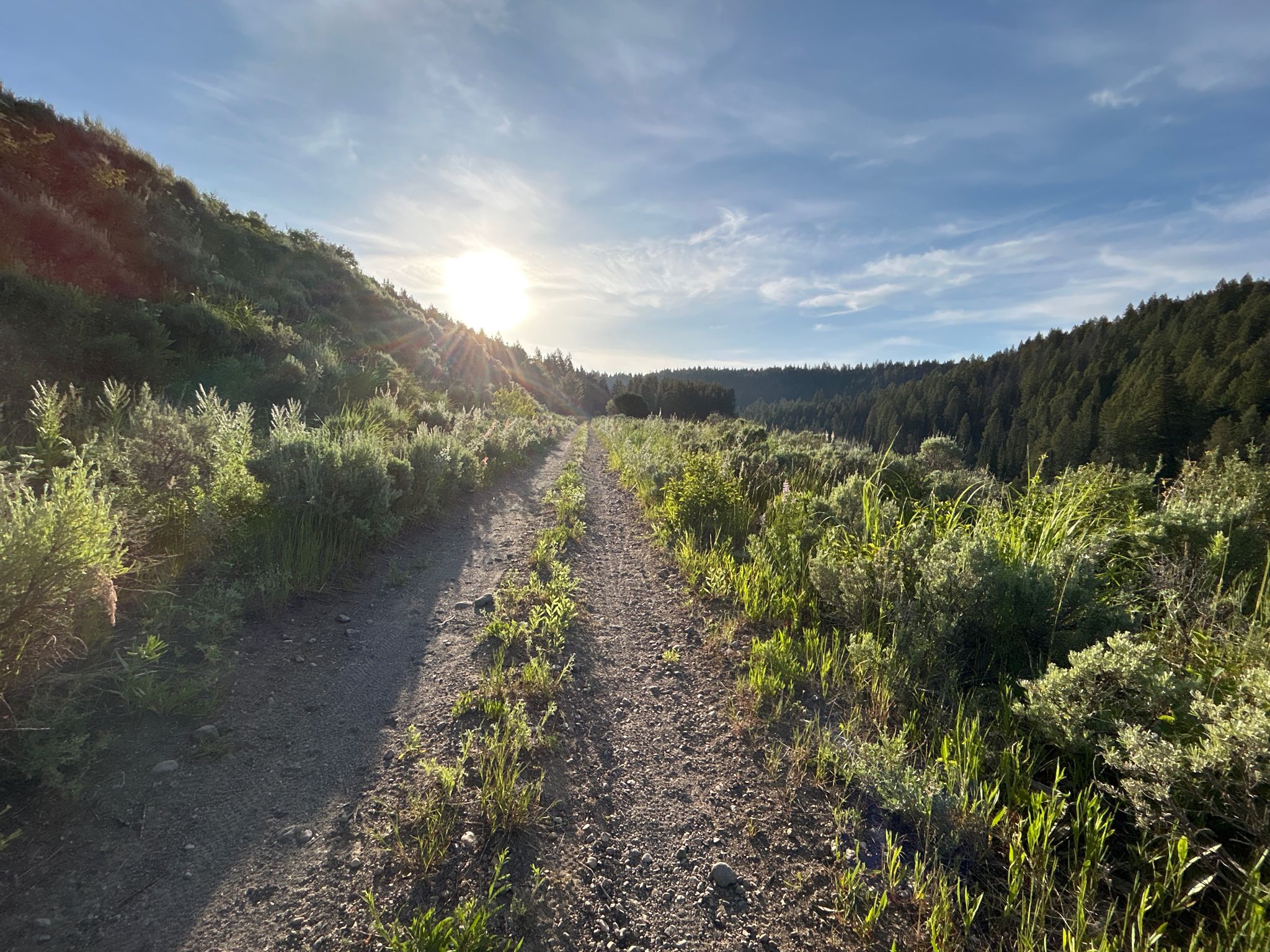 Dirt path through a sunny, grassy hillside with the sun low. - Tunnel on trail loop from Pit Toilet