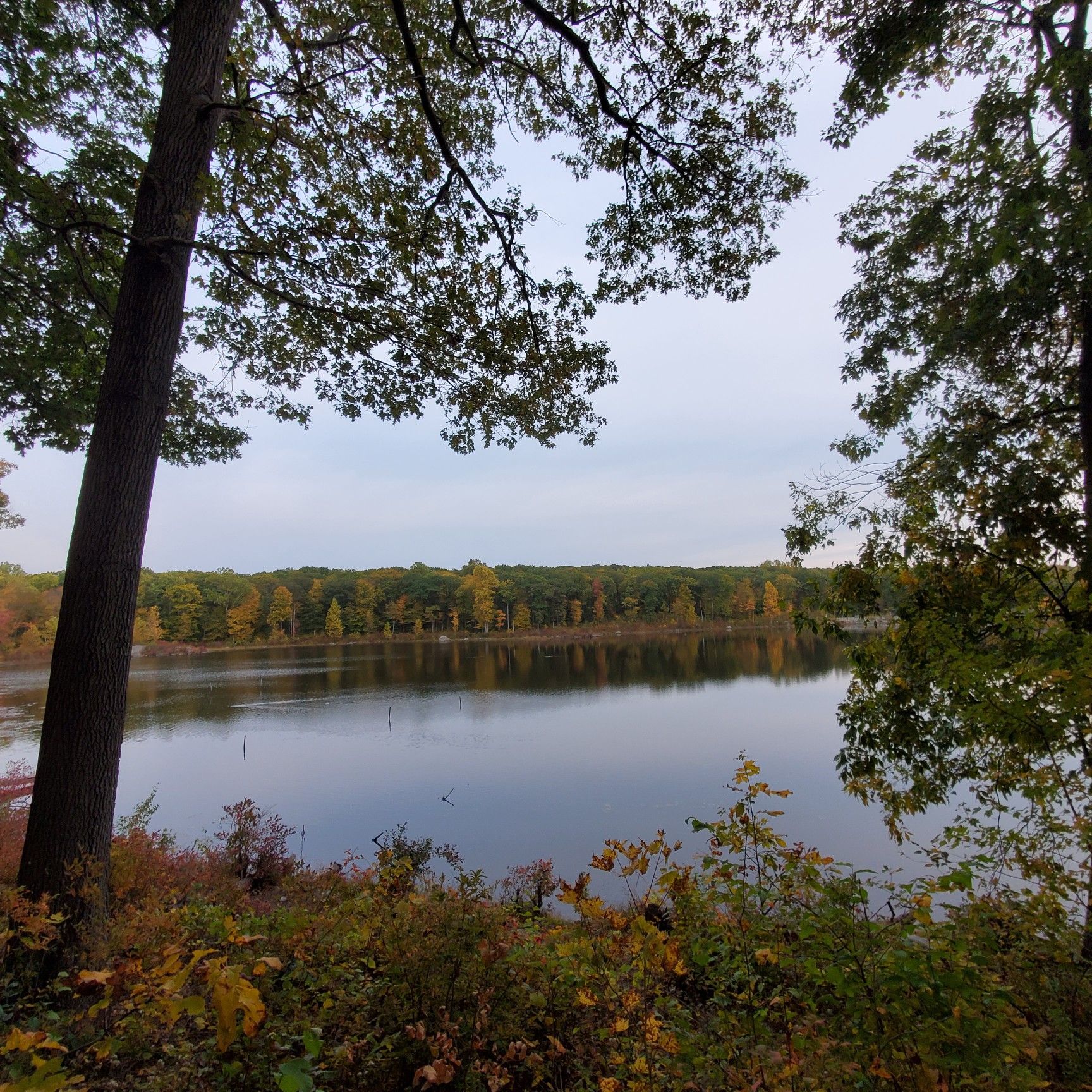 A wide lake surrounded by trees showing early autumn colors under an overcast sky. - Saffin Pond – Highest Point in Morris County loop from Mahlon Dickerson Reservation