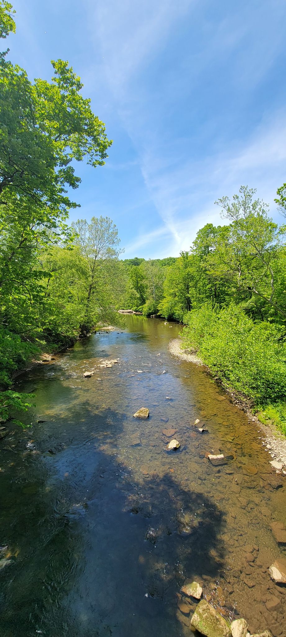 Clear stream flowing through a vibrant green forest under a bright blue sky. - Hoodlebug Trail