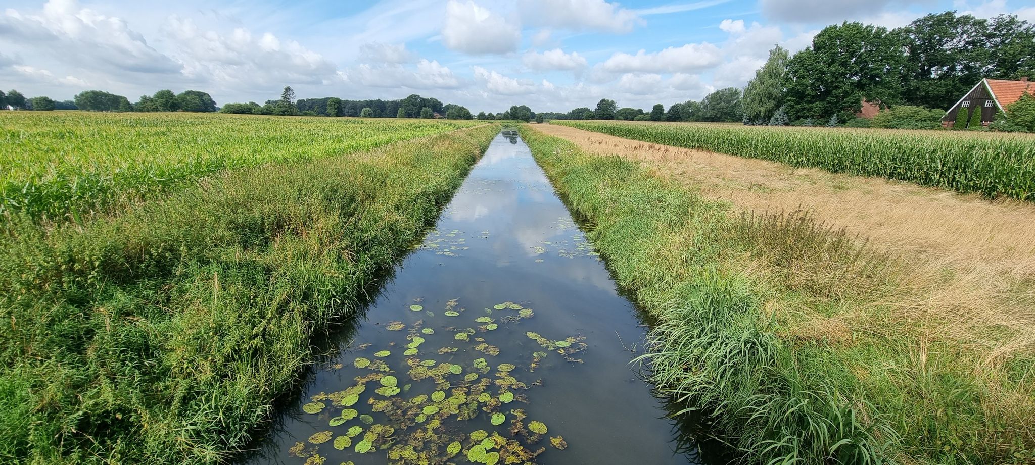 Schwarzer Graben