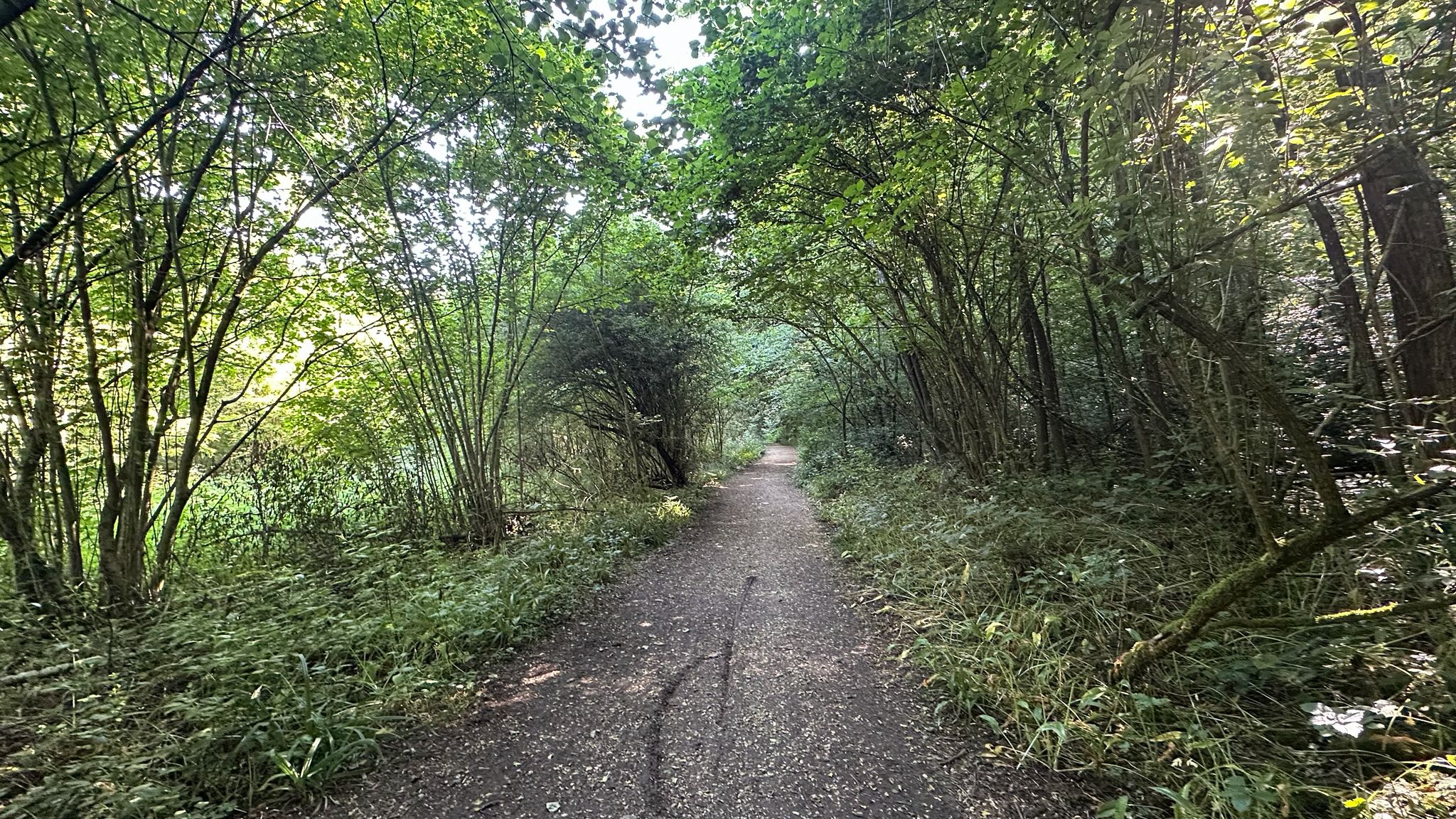 ...die Umrundung des See's, fing mit einem leichten Bauchtraining unter Bäumen durch an und endete mit leichtem Höhentraining🤪...