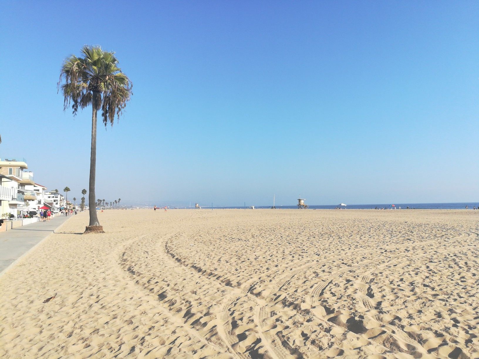Wide sandy beach with a single palm tree and distant buildings. - BeachBall Newport Beach – Balboa Saloon loop from Balboa Peninsula