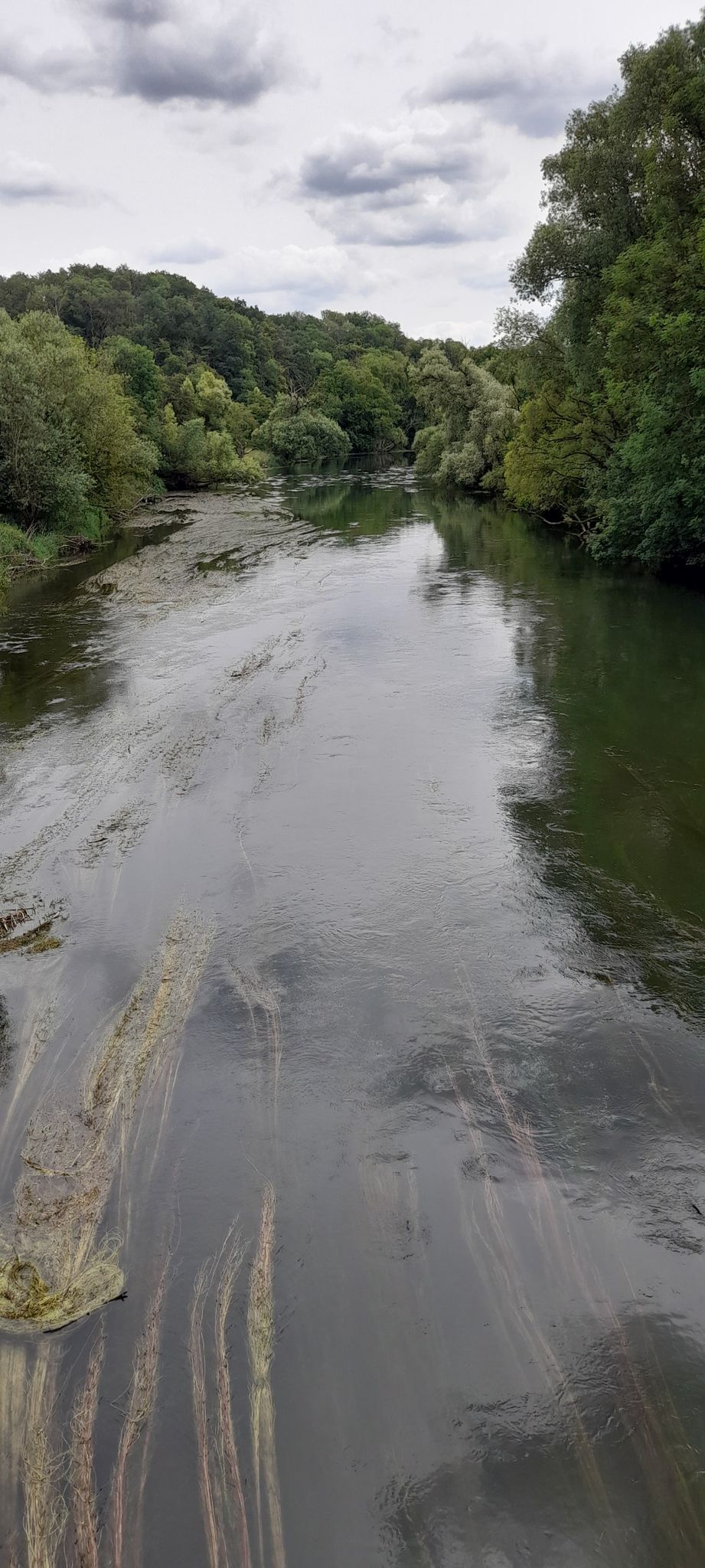 Donau Blick Richtung Ulm