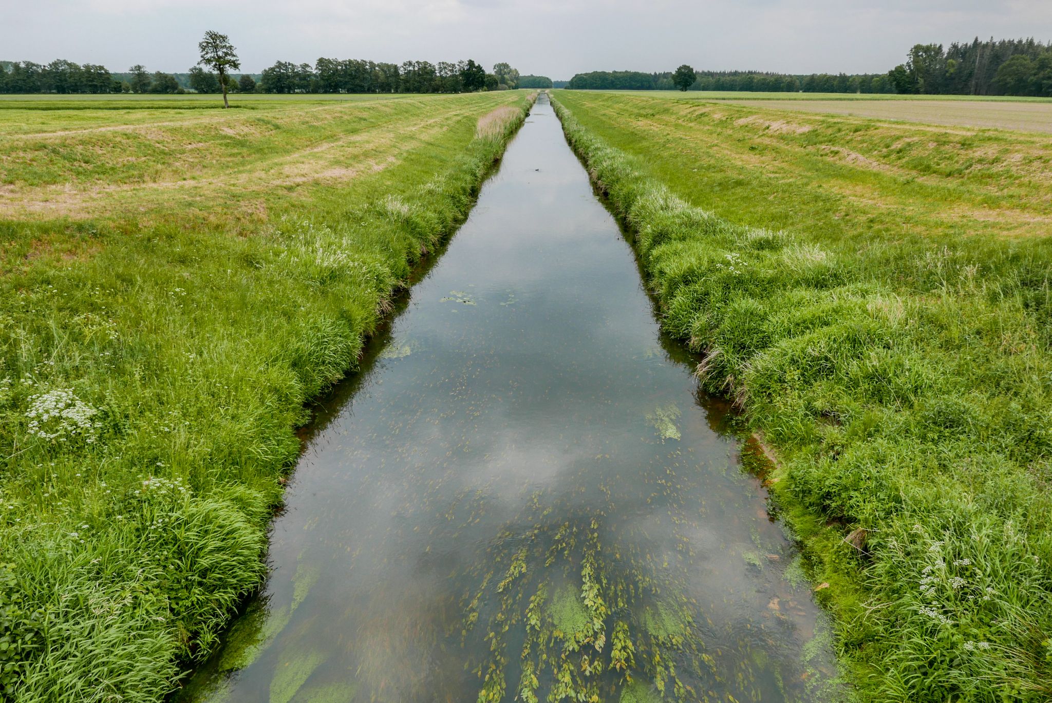 Fladderkanal