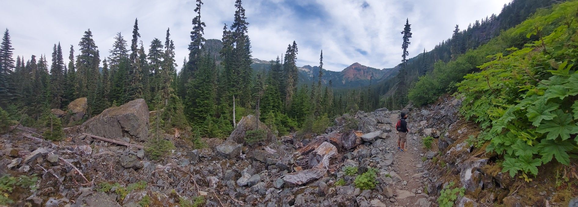 A person walks on a rocky trail through a dense forest with distant mountains. - PCT to Kendall Peak loop from Snoqualmie Pass